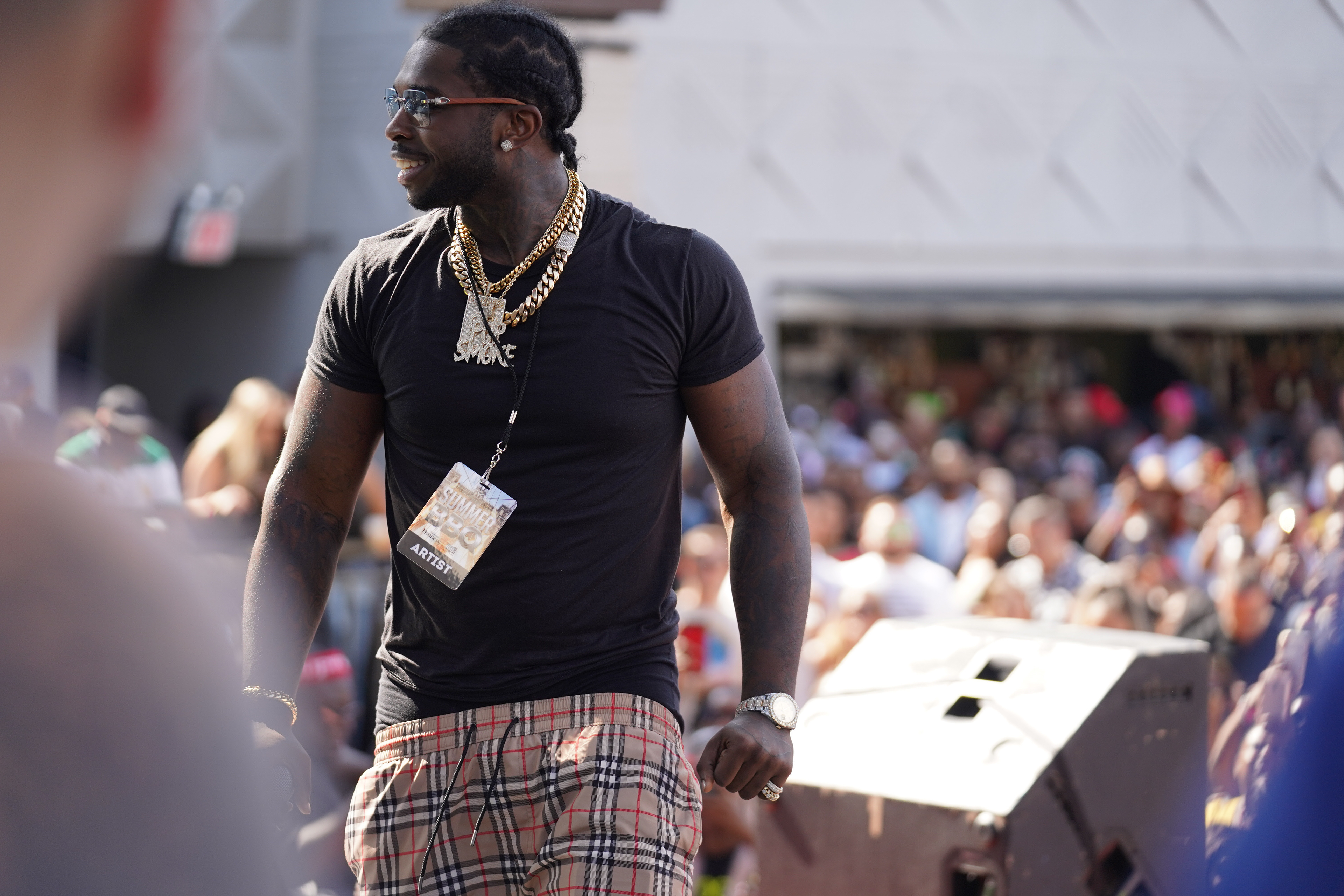 credential artist pass