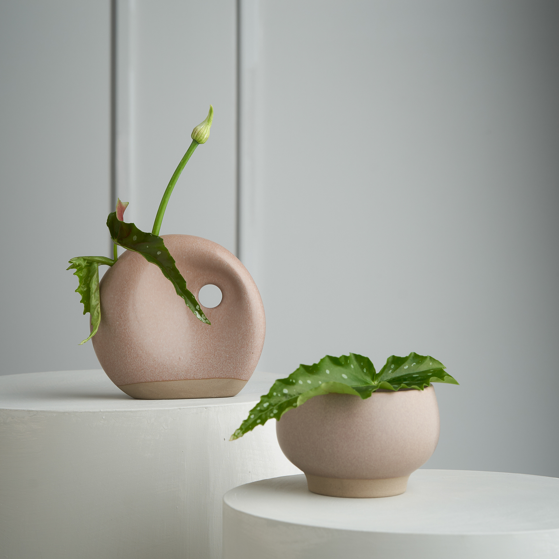 Eternity & Ikebana Vase / Marle Blush
