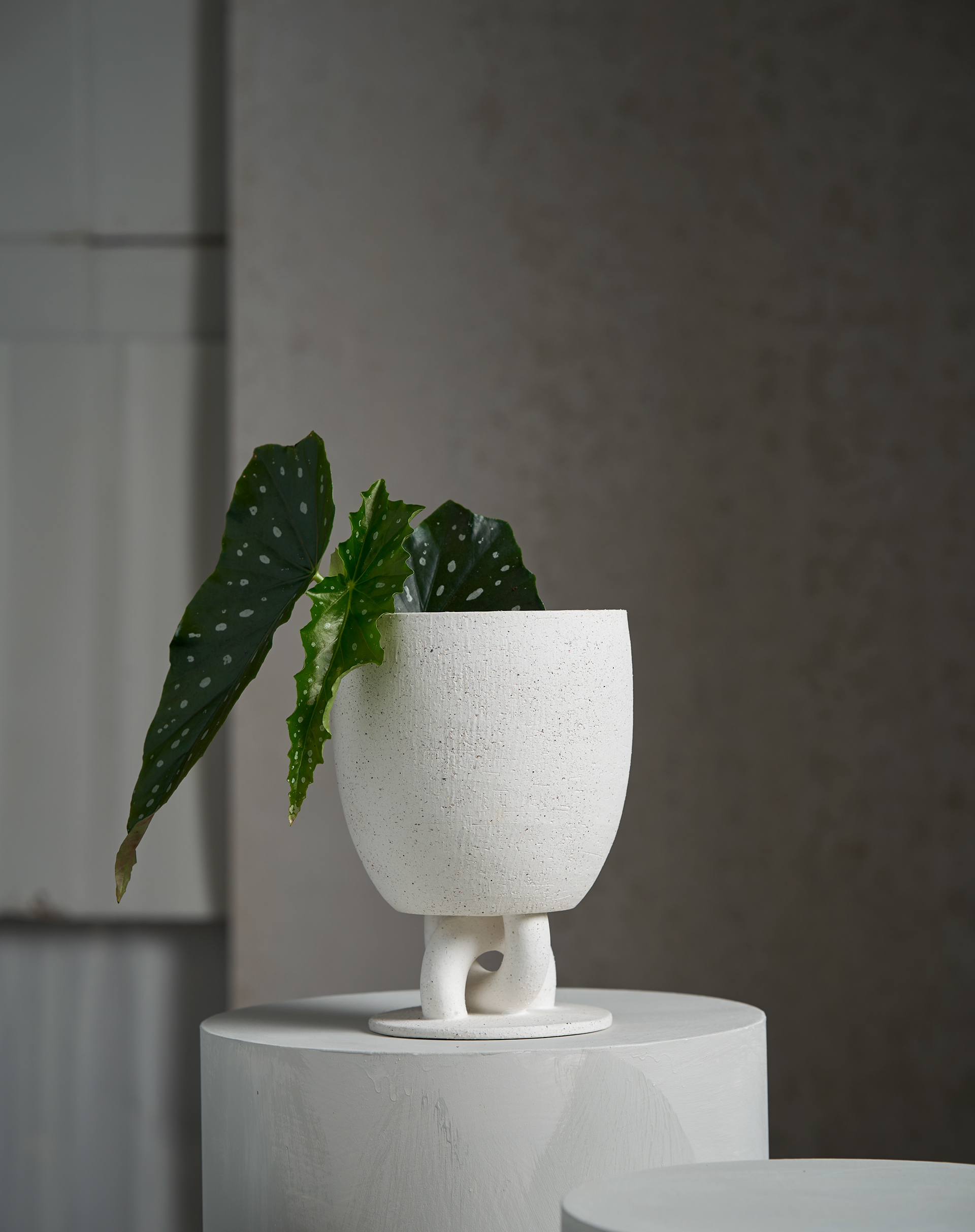 Infinity Vessel / The Origin Collection
