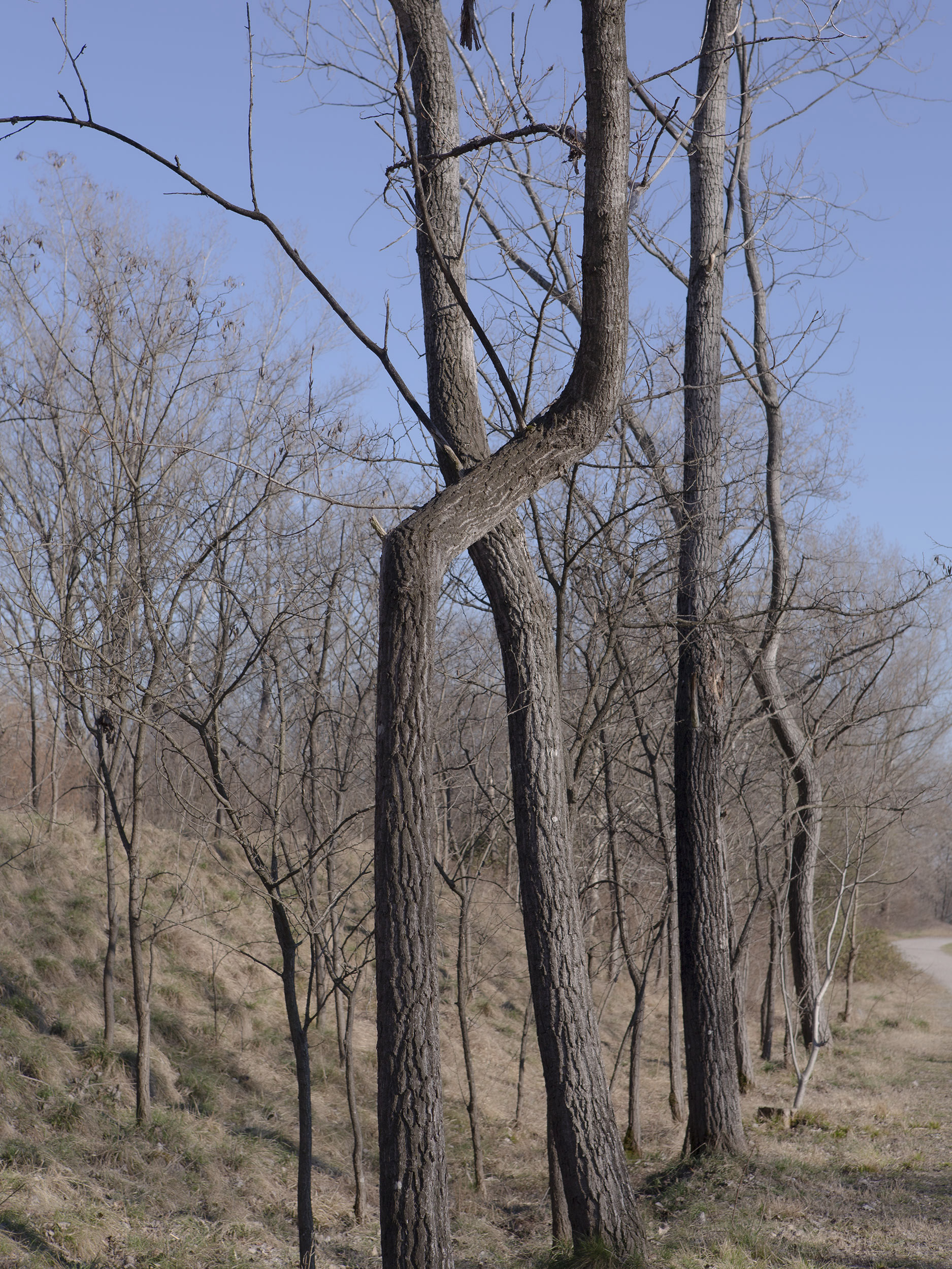 Unknown Placesby Antonio Campanella