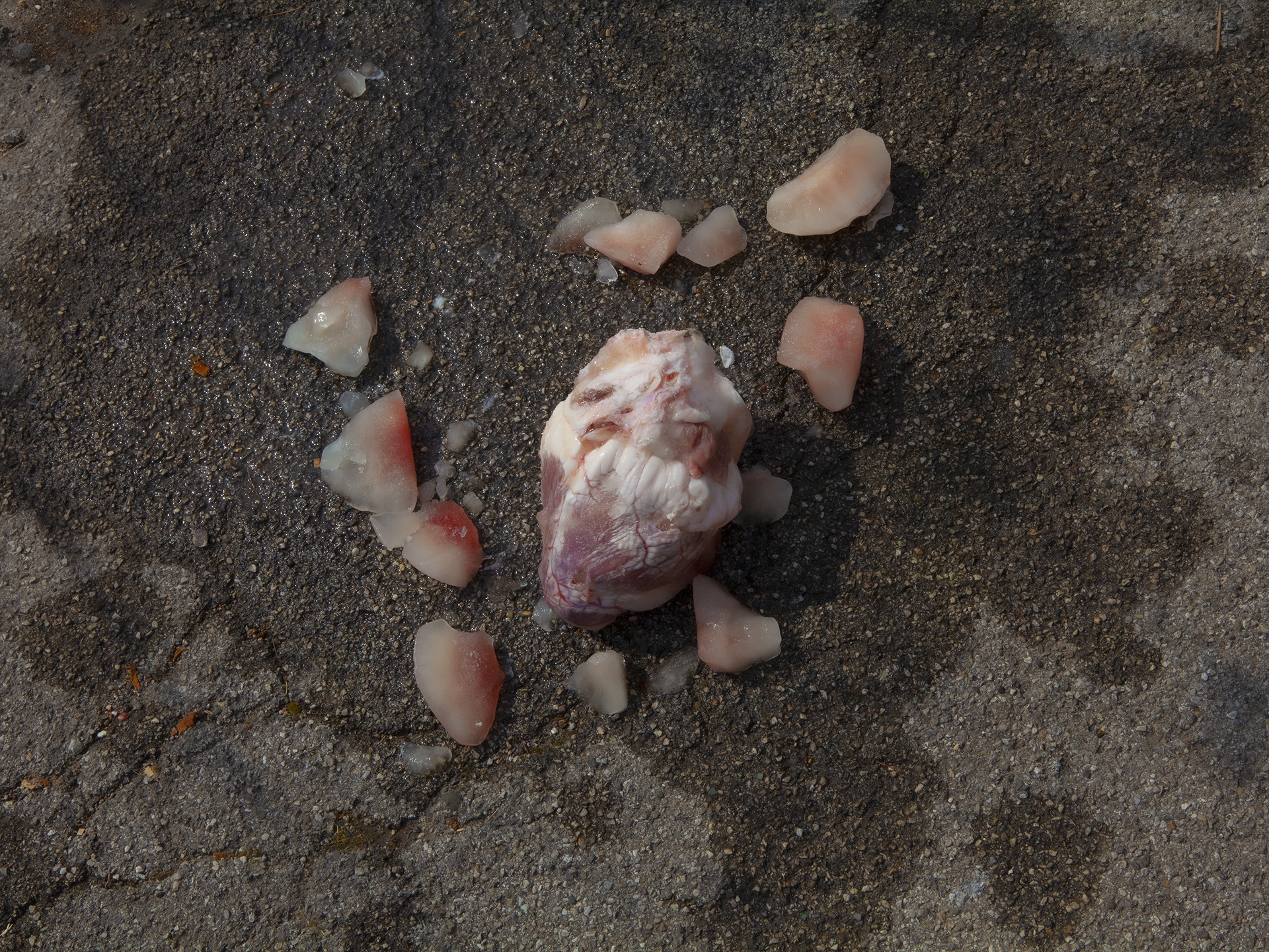 Unknown Placesby Antonio Campanella