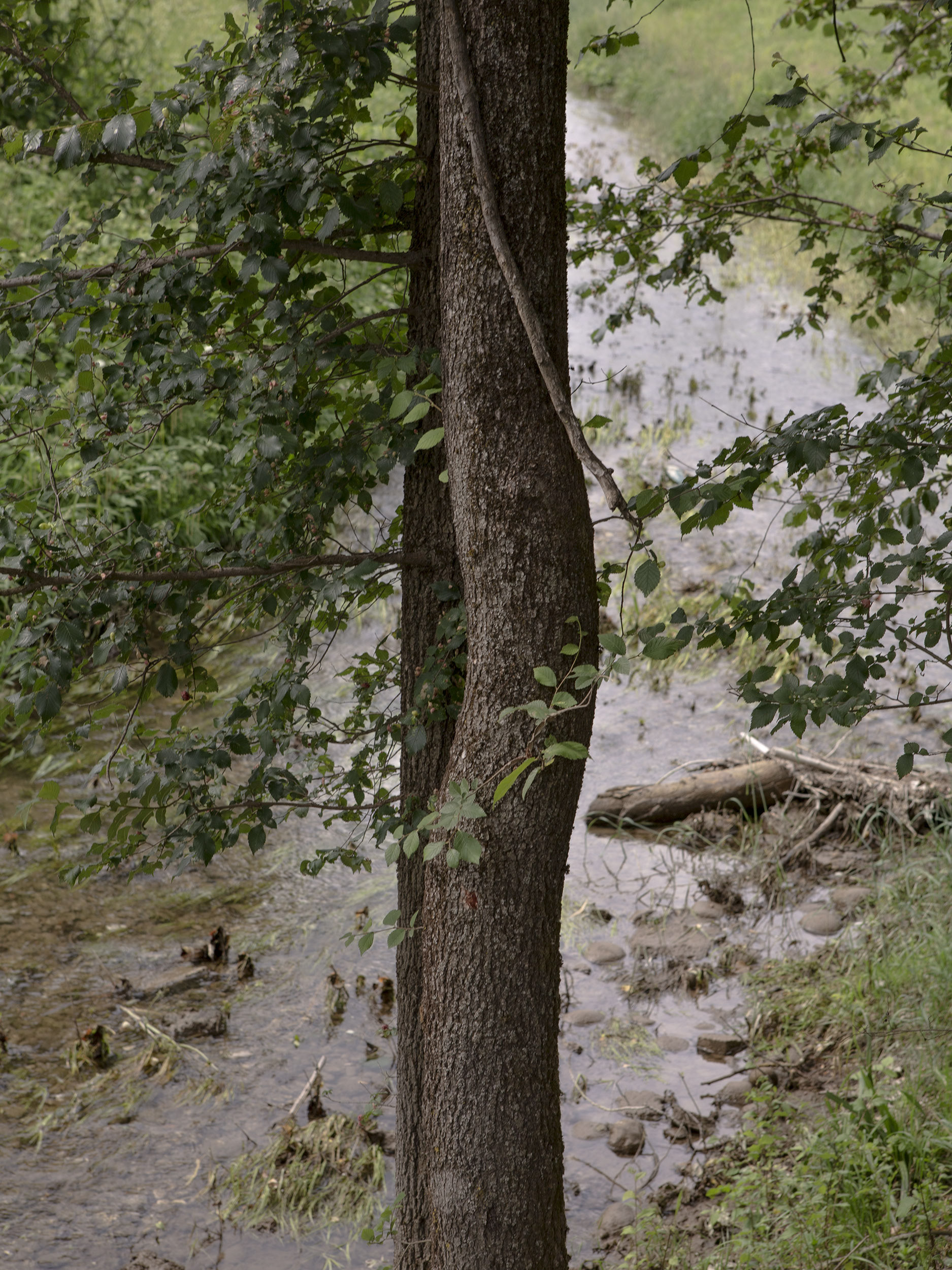 Unknown Placesby Antonio Campanella