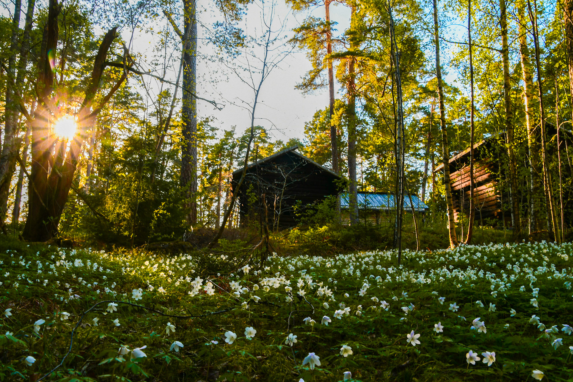 Mariebergskogen, Sweden