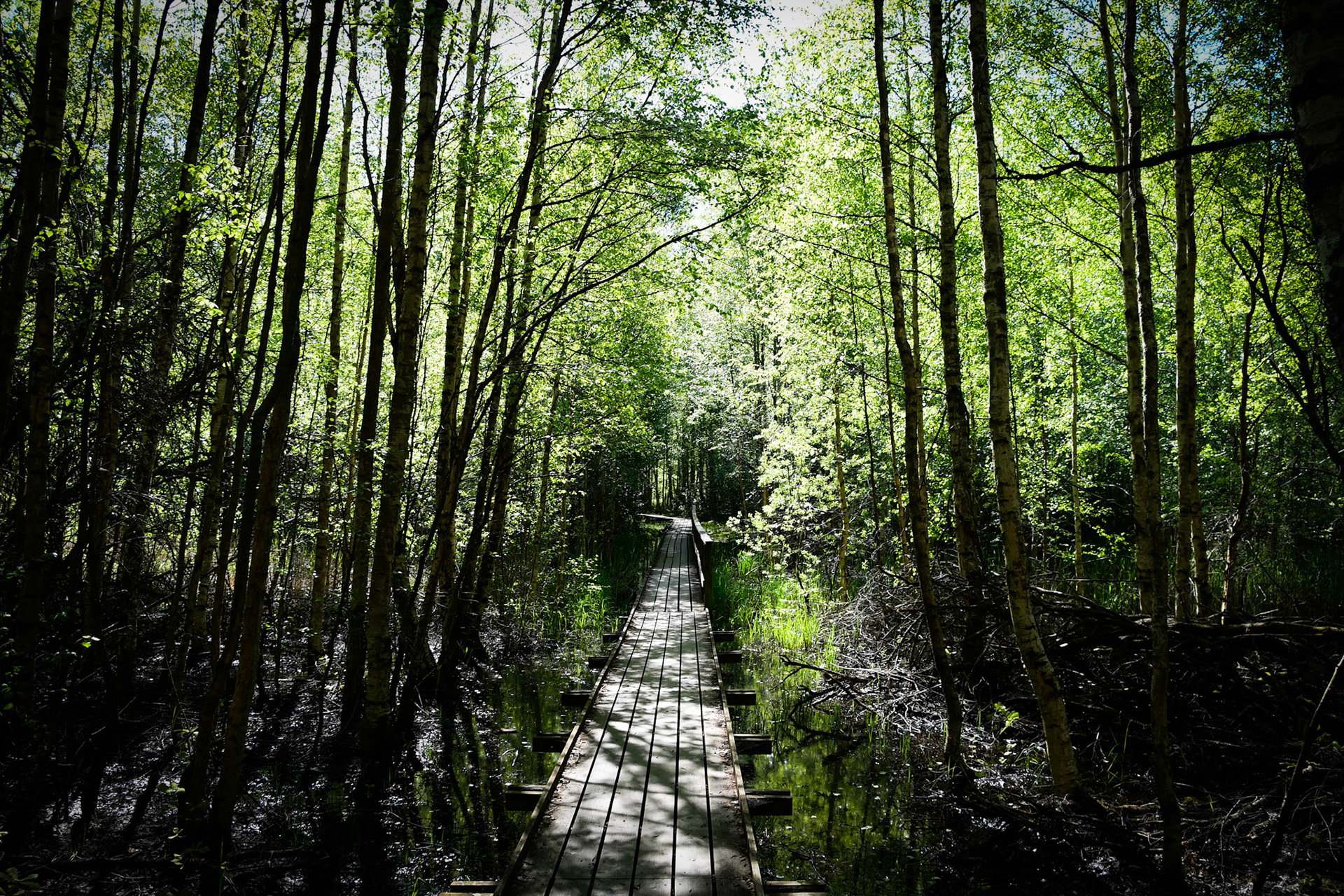 Towards Nature