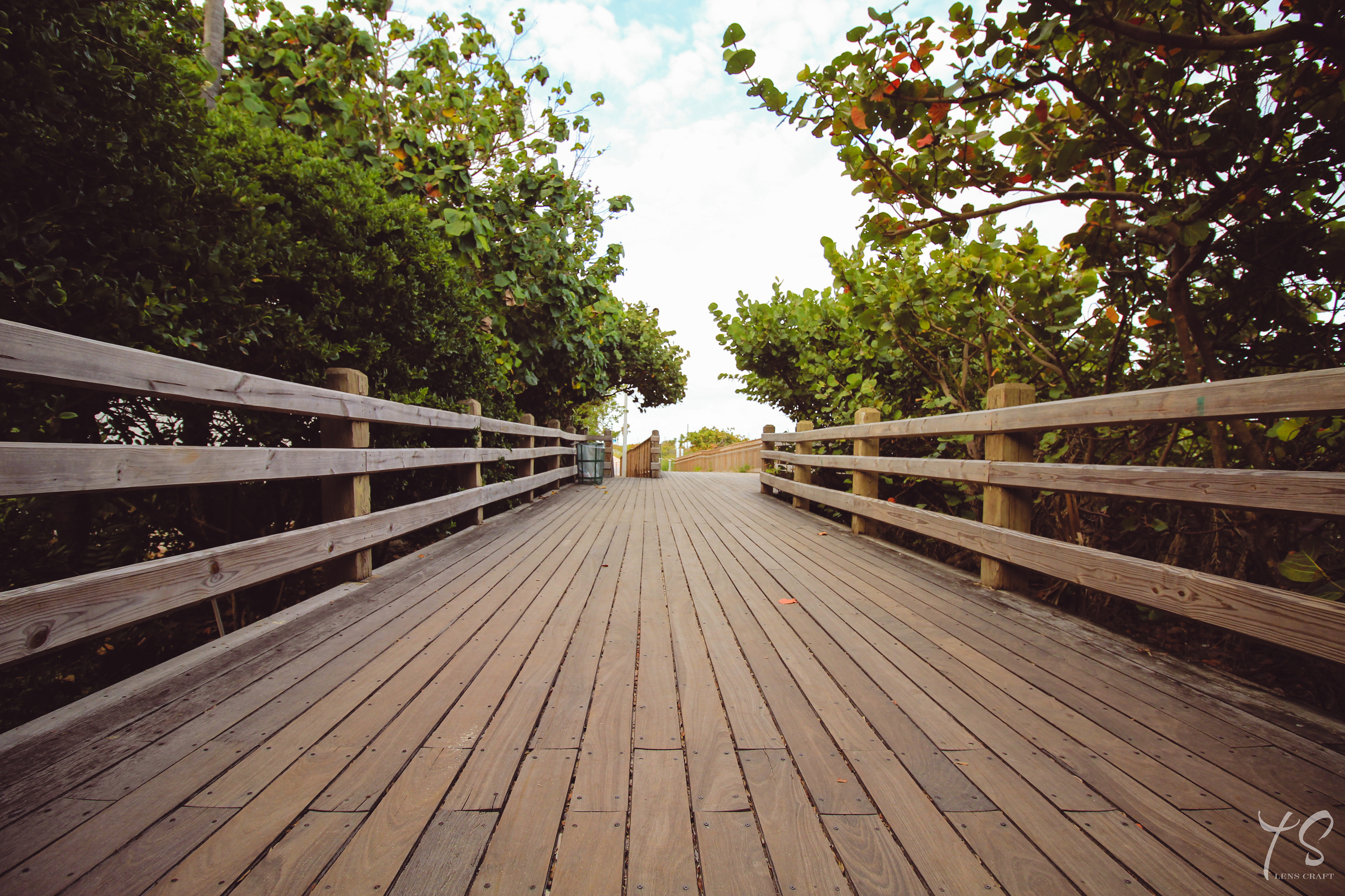 Beach Trail