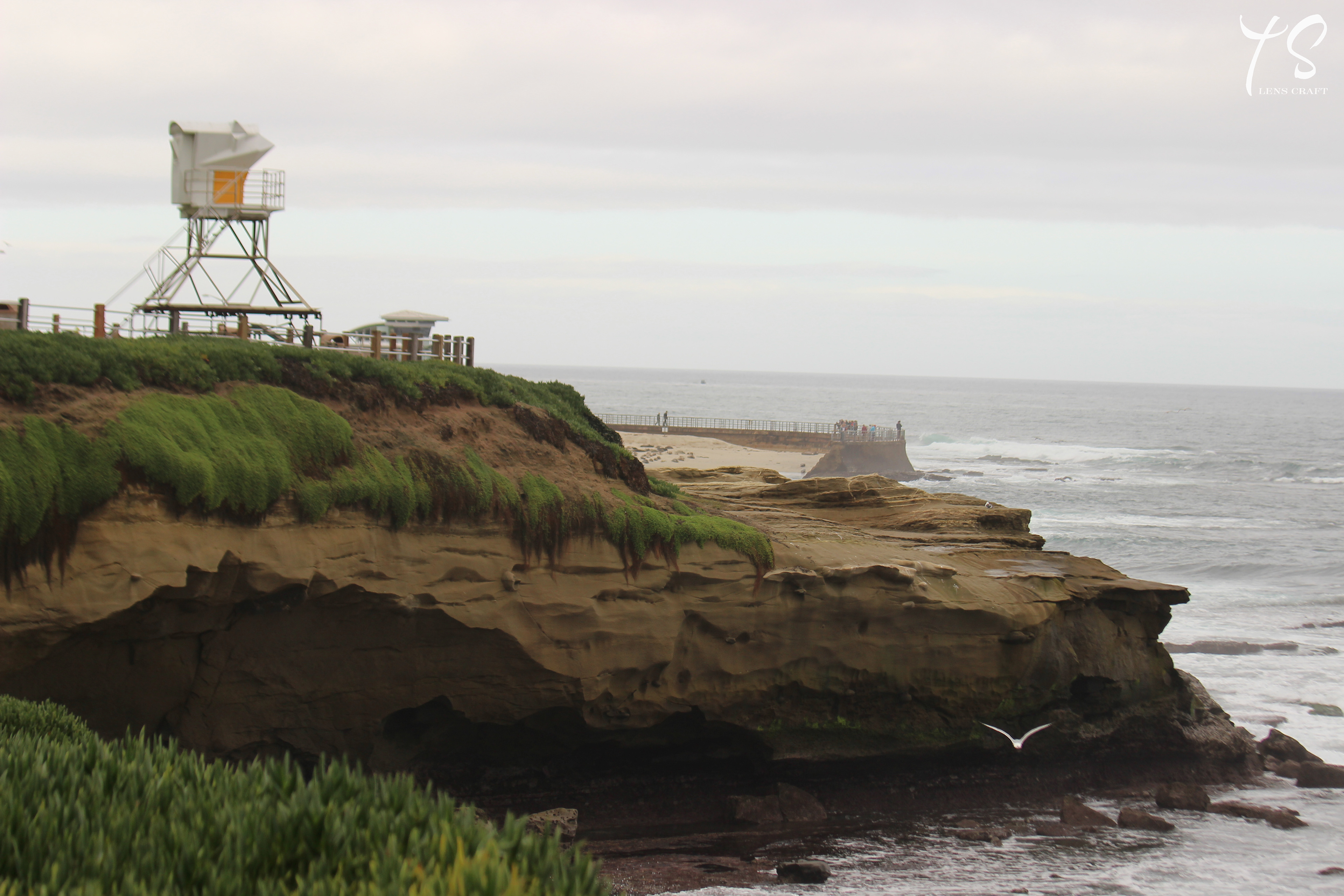 Strong Winds @ Cove