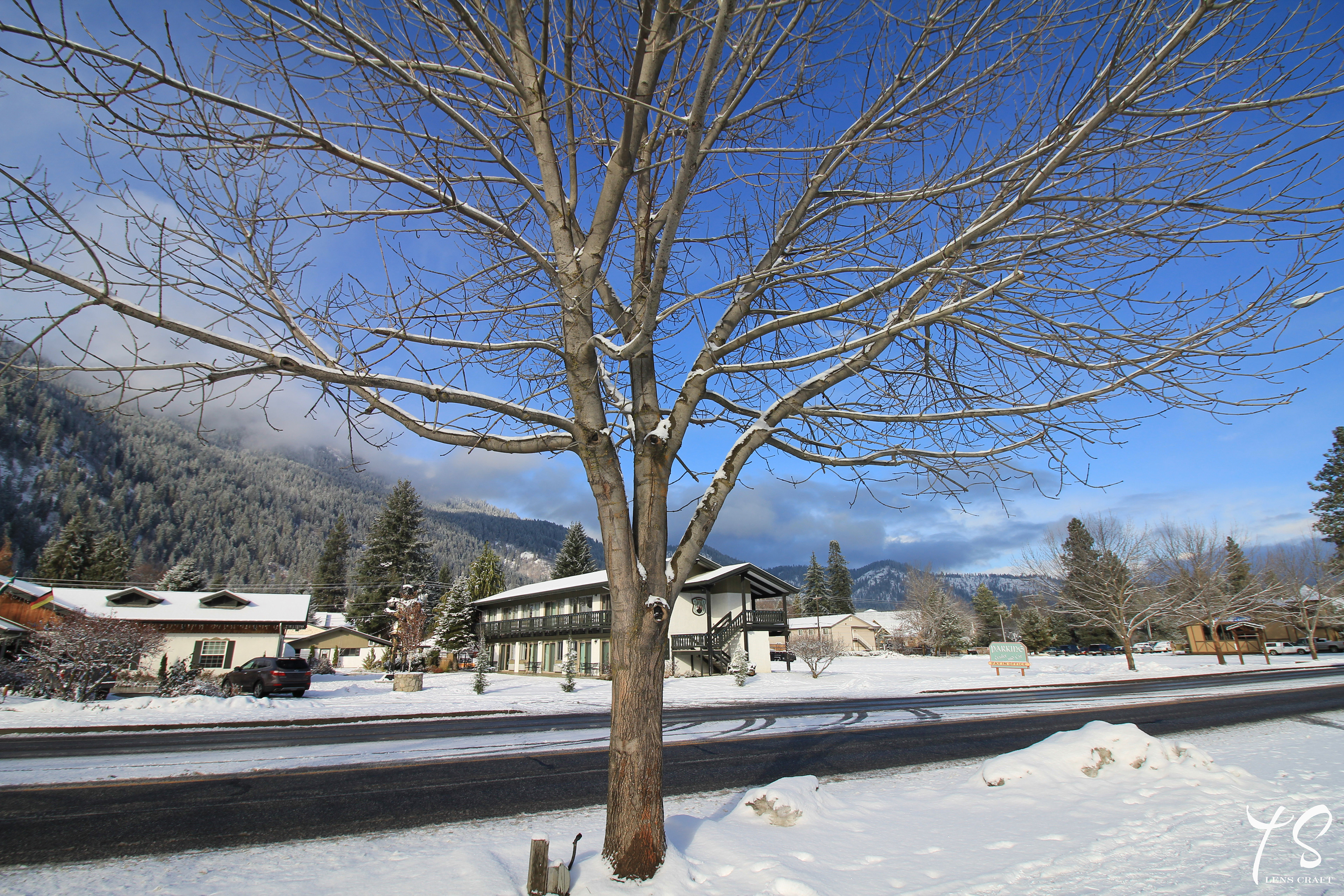 Winter
