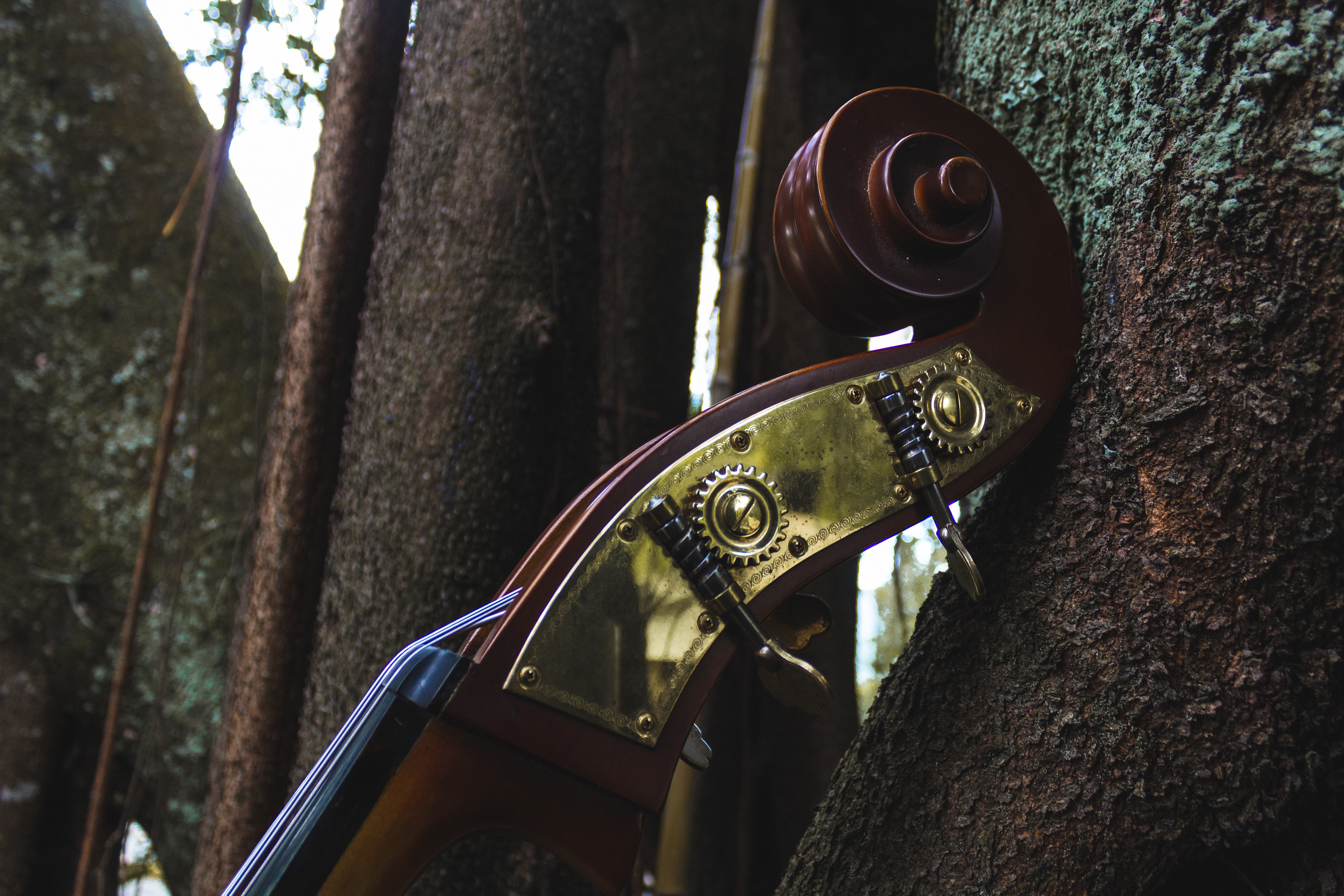 Double Bass (UCR, Costa Rica)