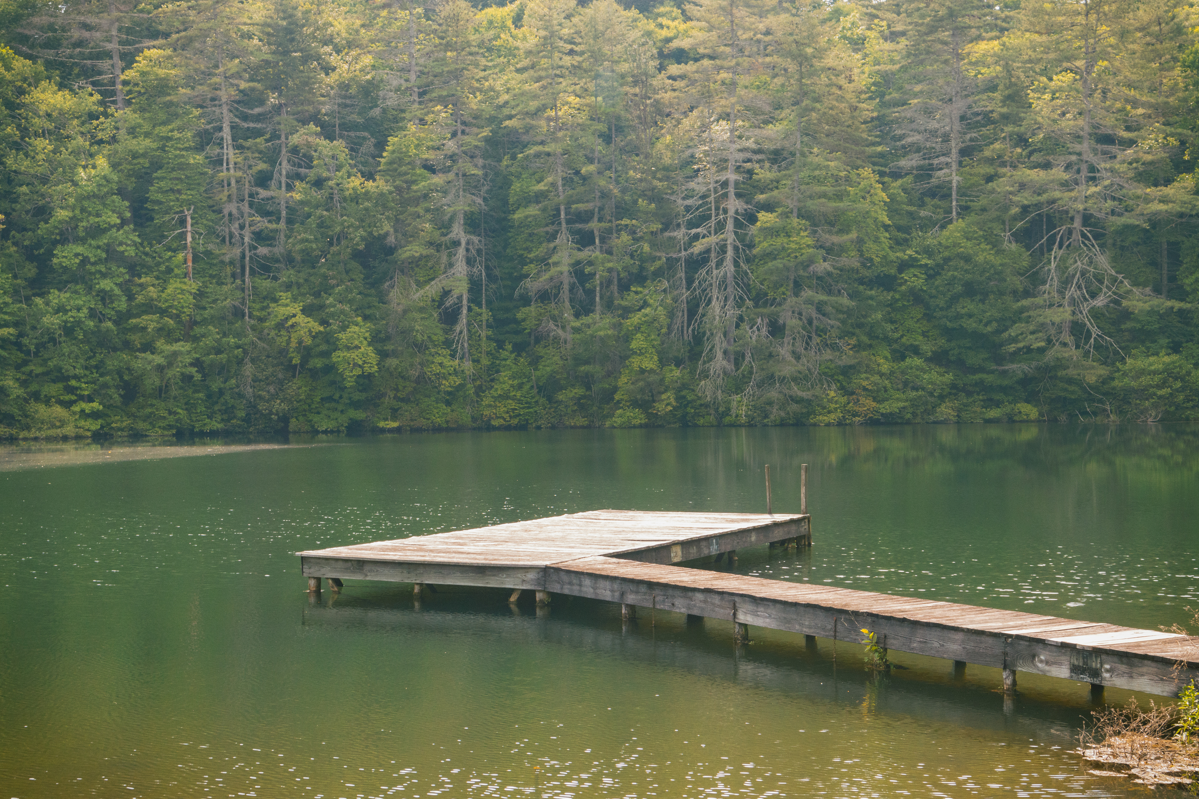 Brevard Music Center, North Carolina