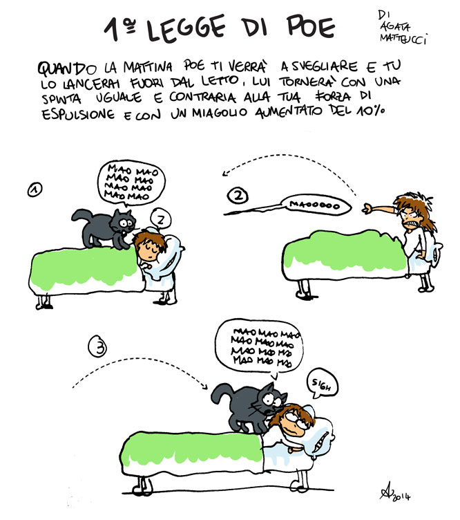 1° legge di Poe