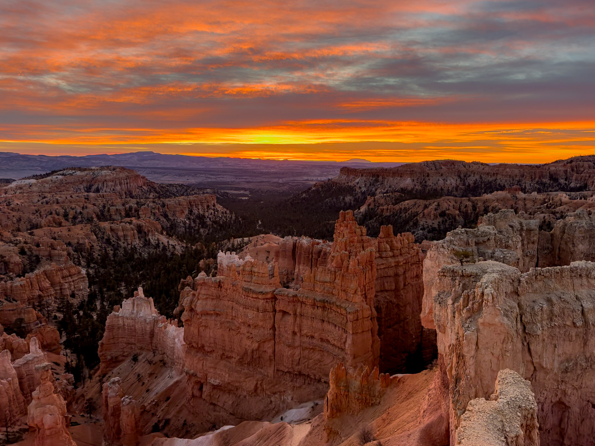 Week 45 - Bryce Sunrise 