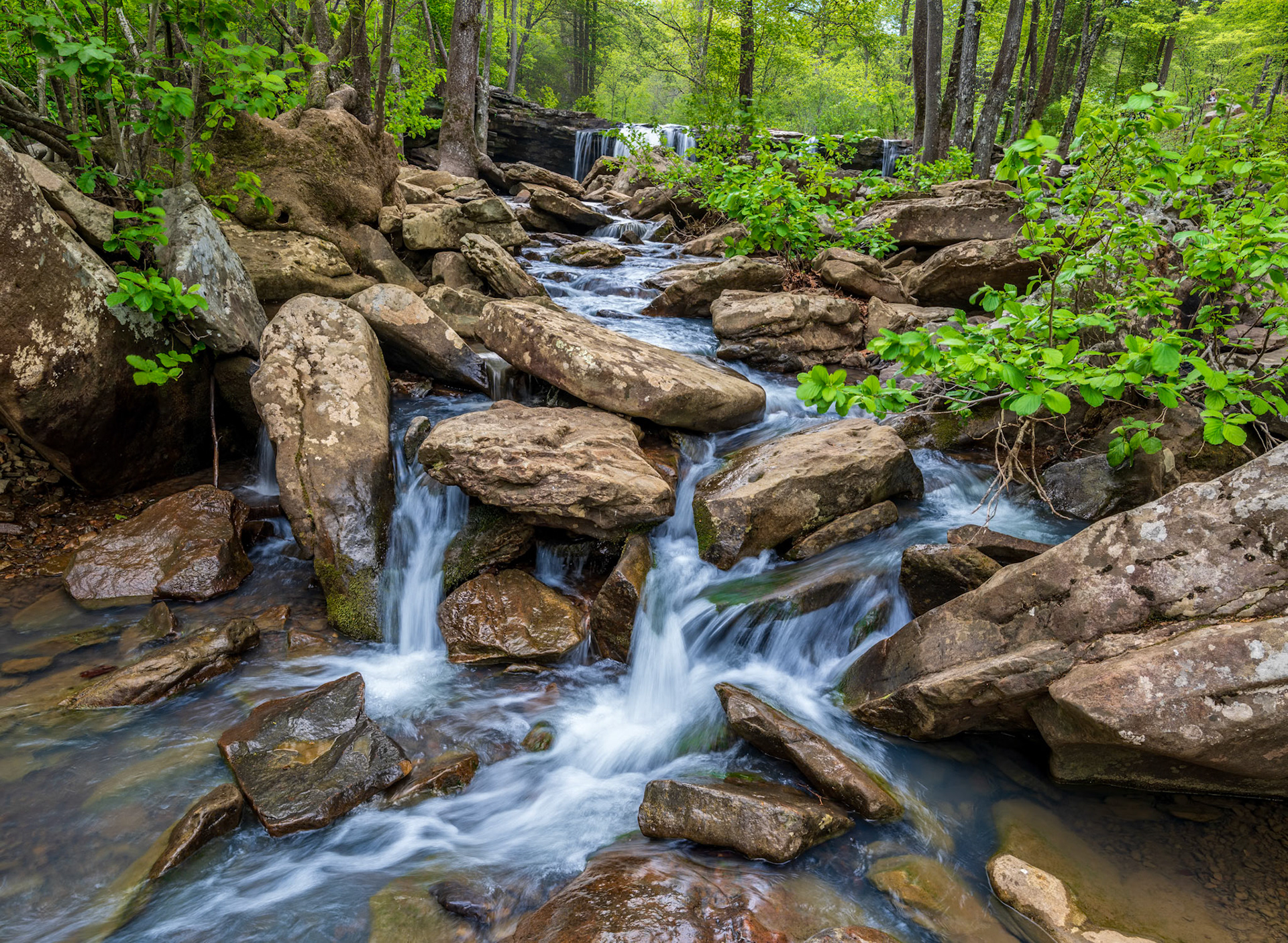 Falling Water Creek (2)