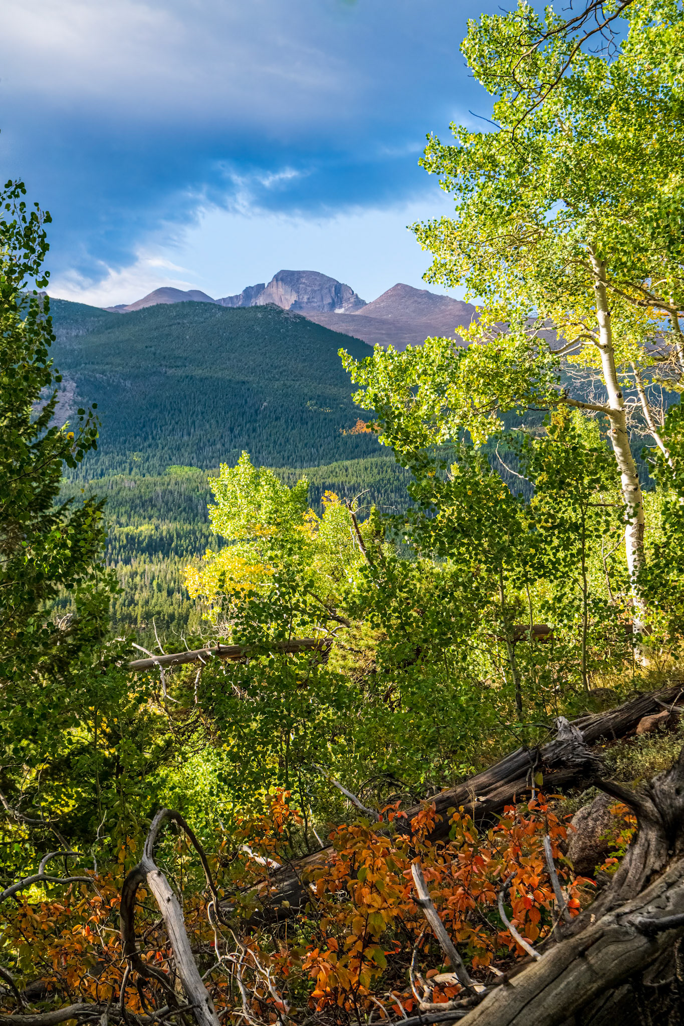 Week 37 - Longs Peak