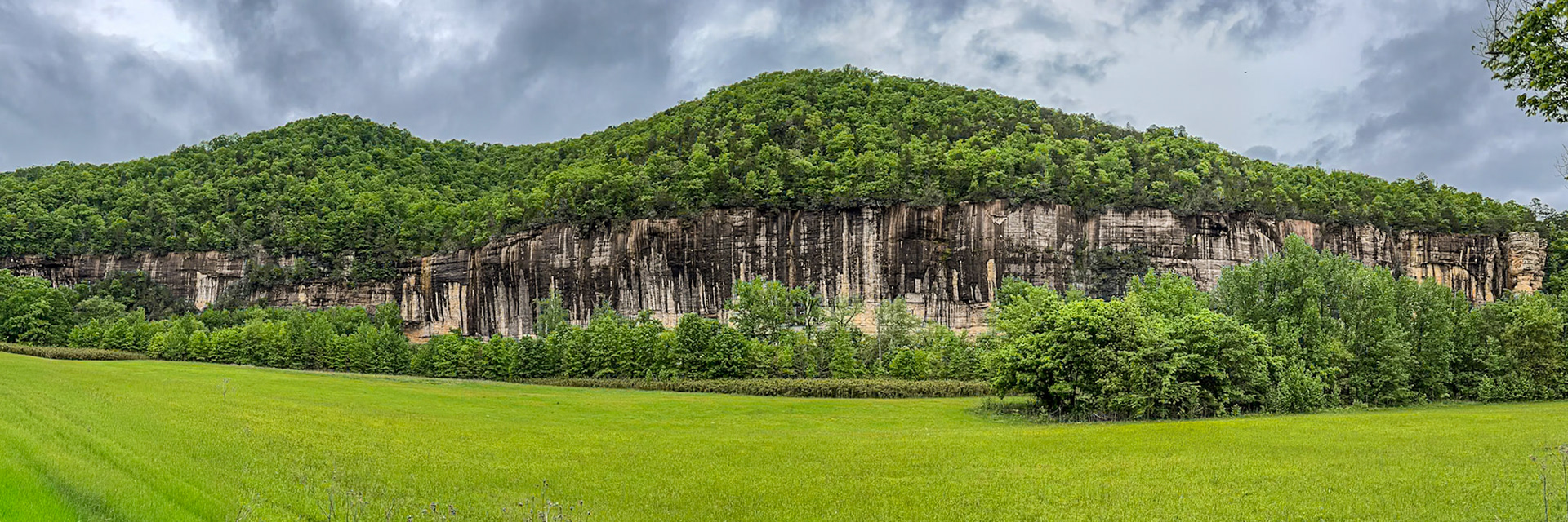 Roark Bluff