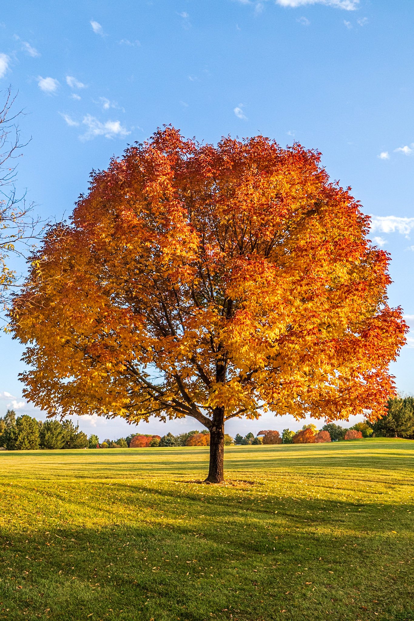 Week 42 - Colors of Fall