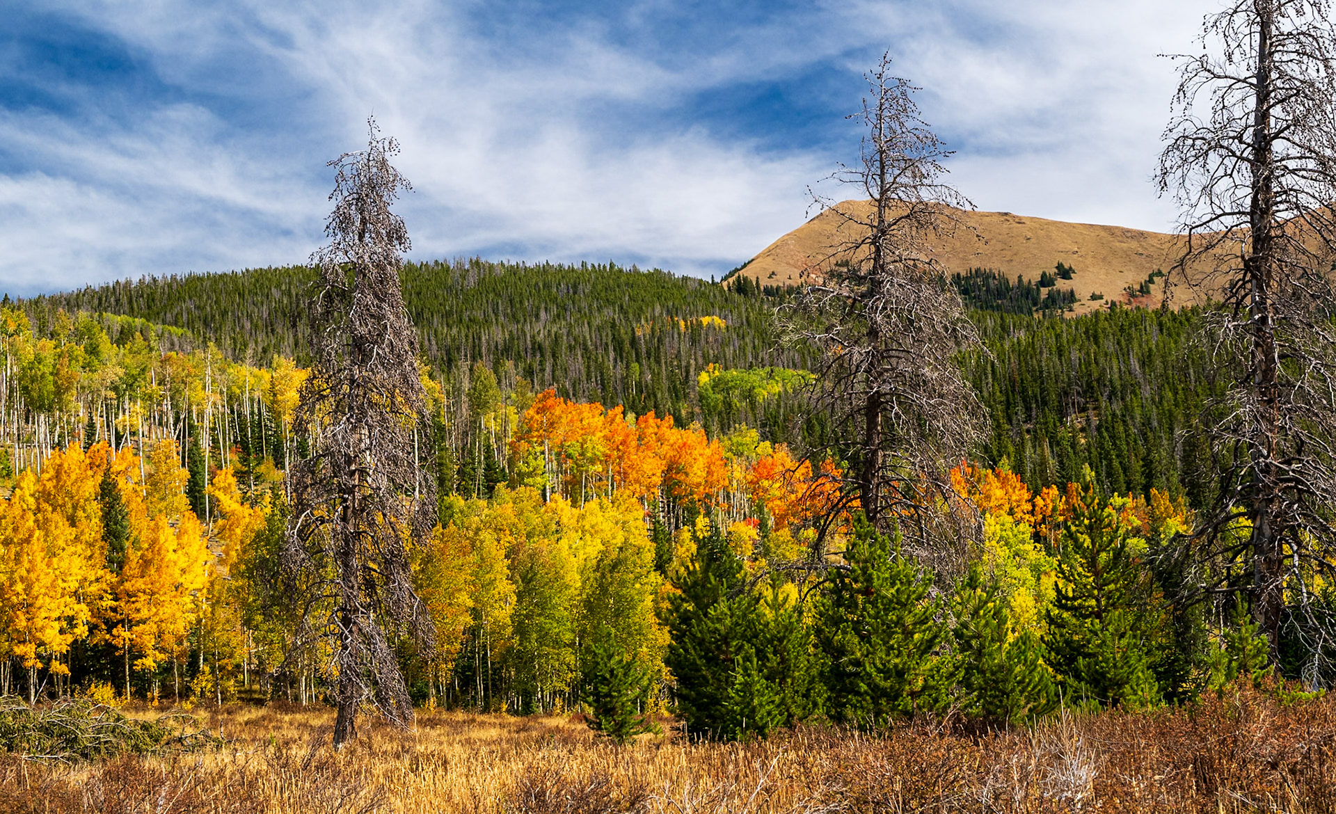 Fall is Coming - State Forest State Park