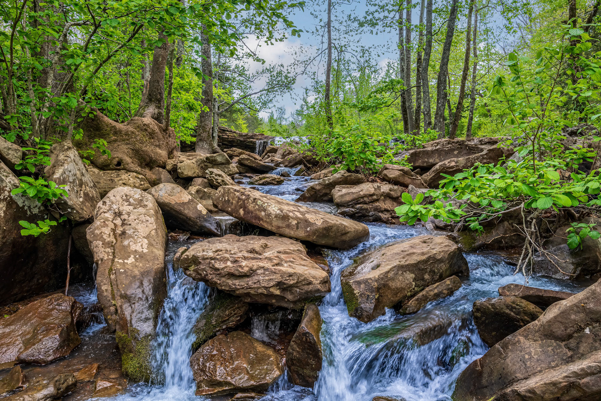 Falling Water Creek (1)