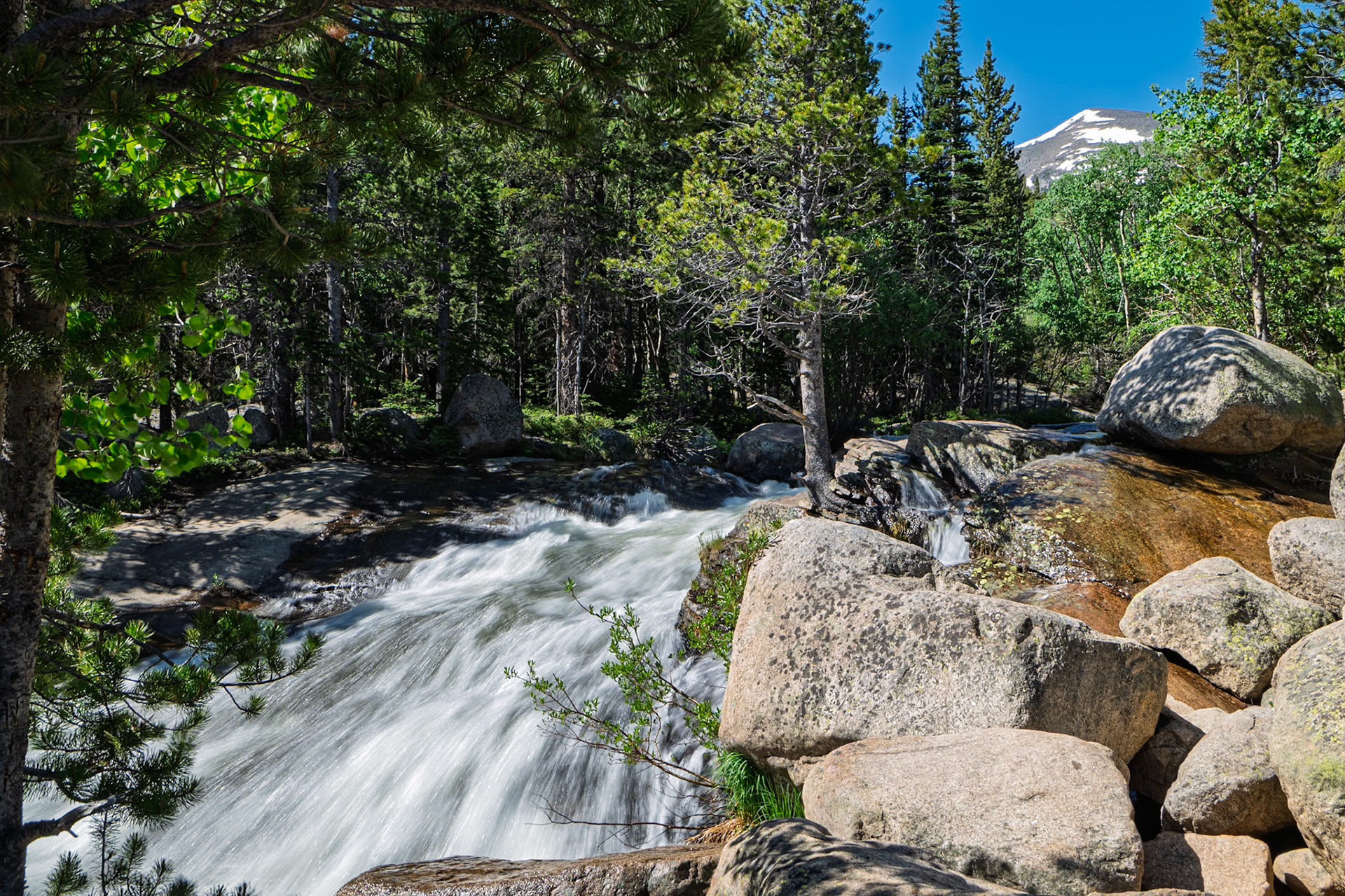Glacier Creek - RMNP