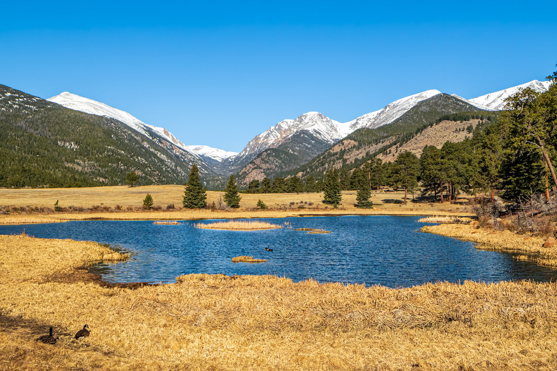 Sheep Lakes - RMNP