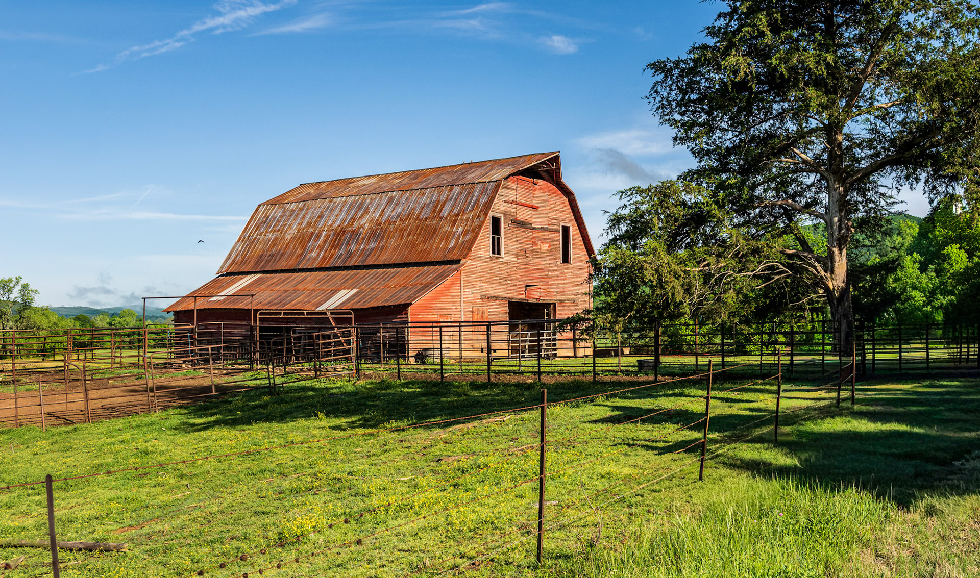 Quiet Morning on the Farm