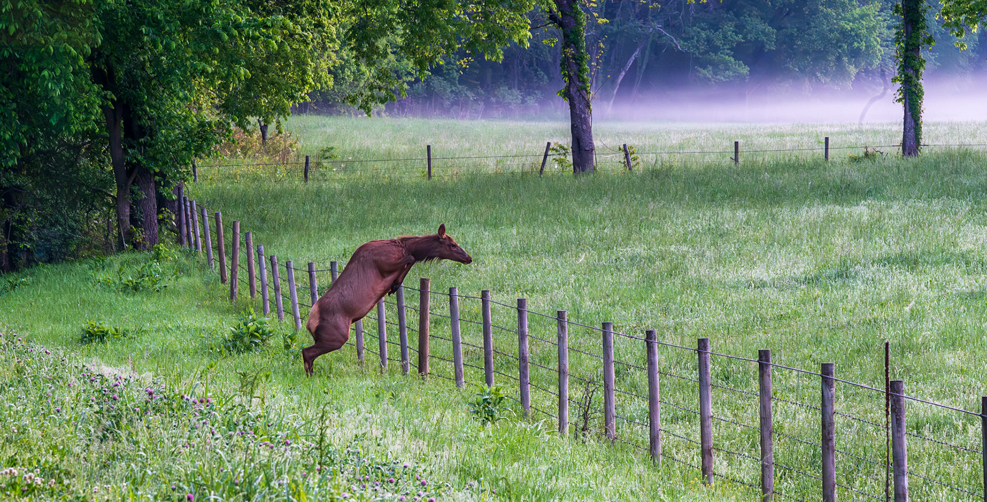 High Jump