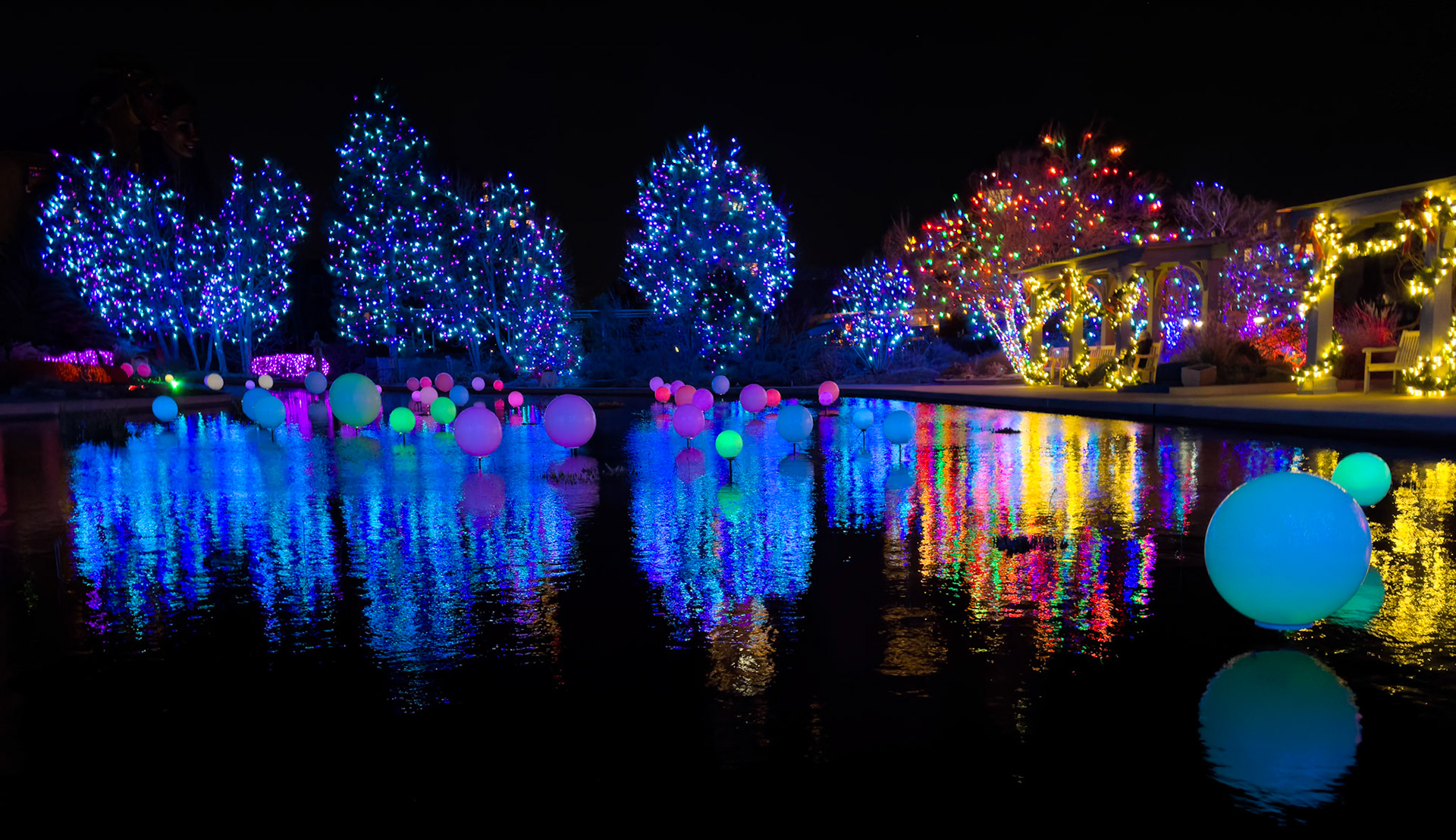 Week 51 - Merry Christmas