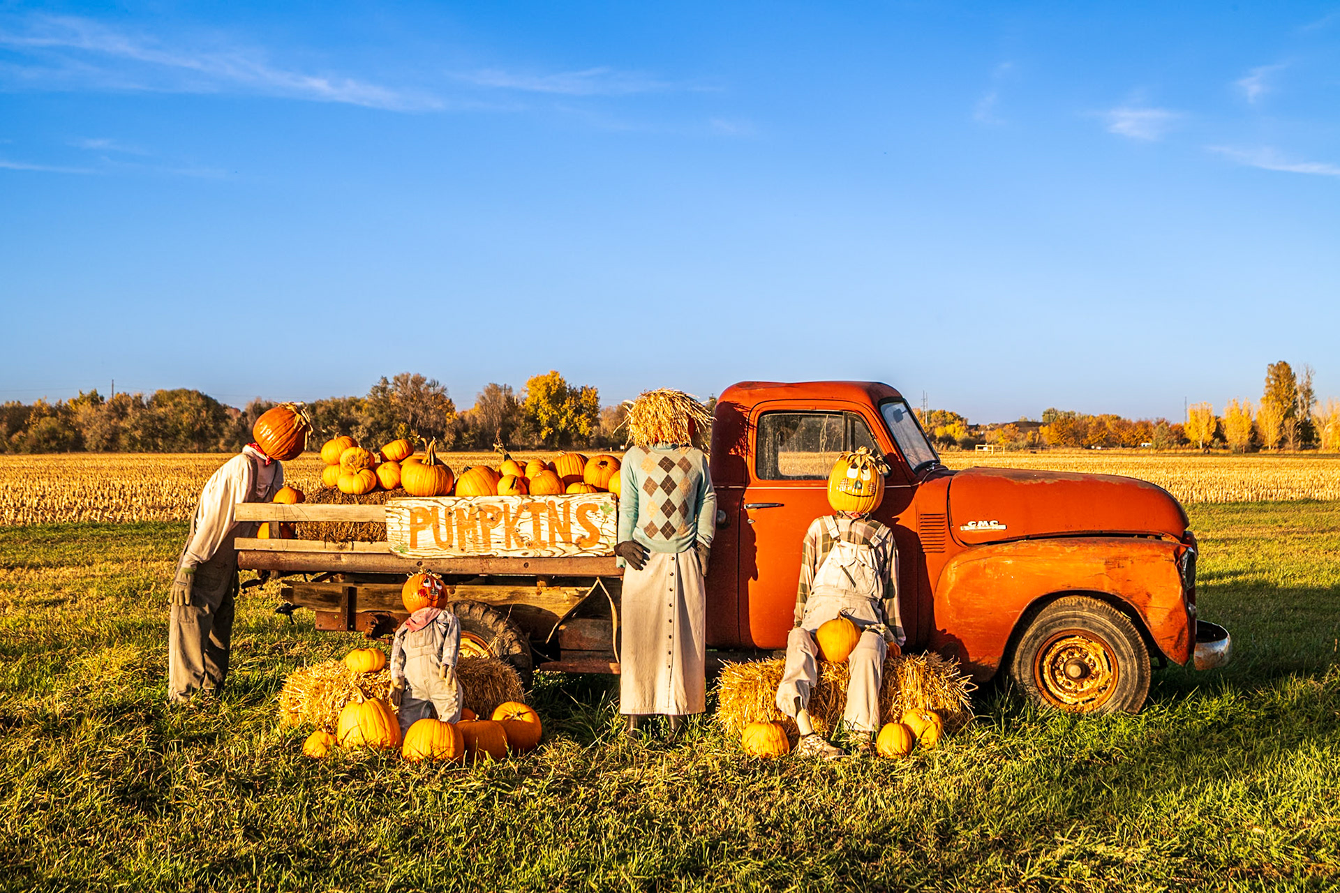 Week 43 Pumpkin Season 