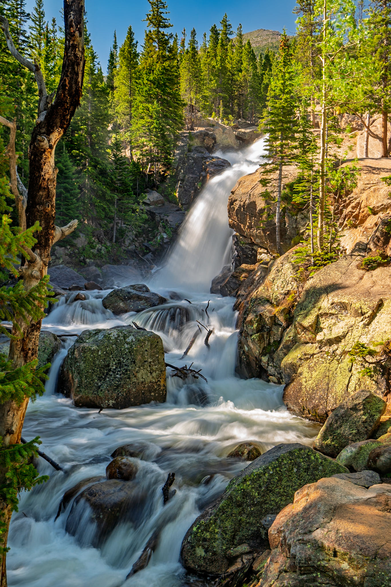 Alberta Falls - RMNP