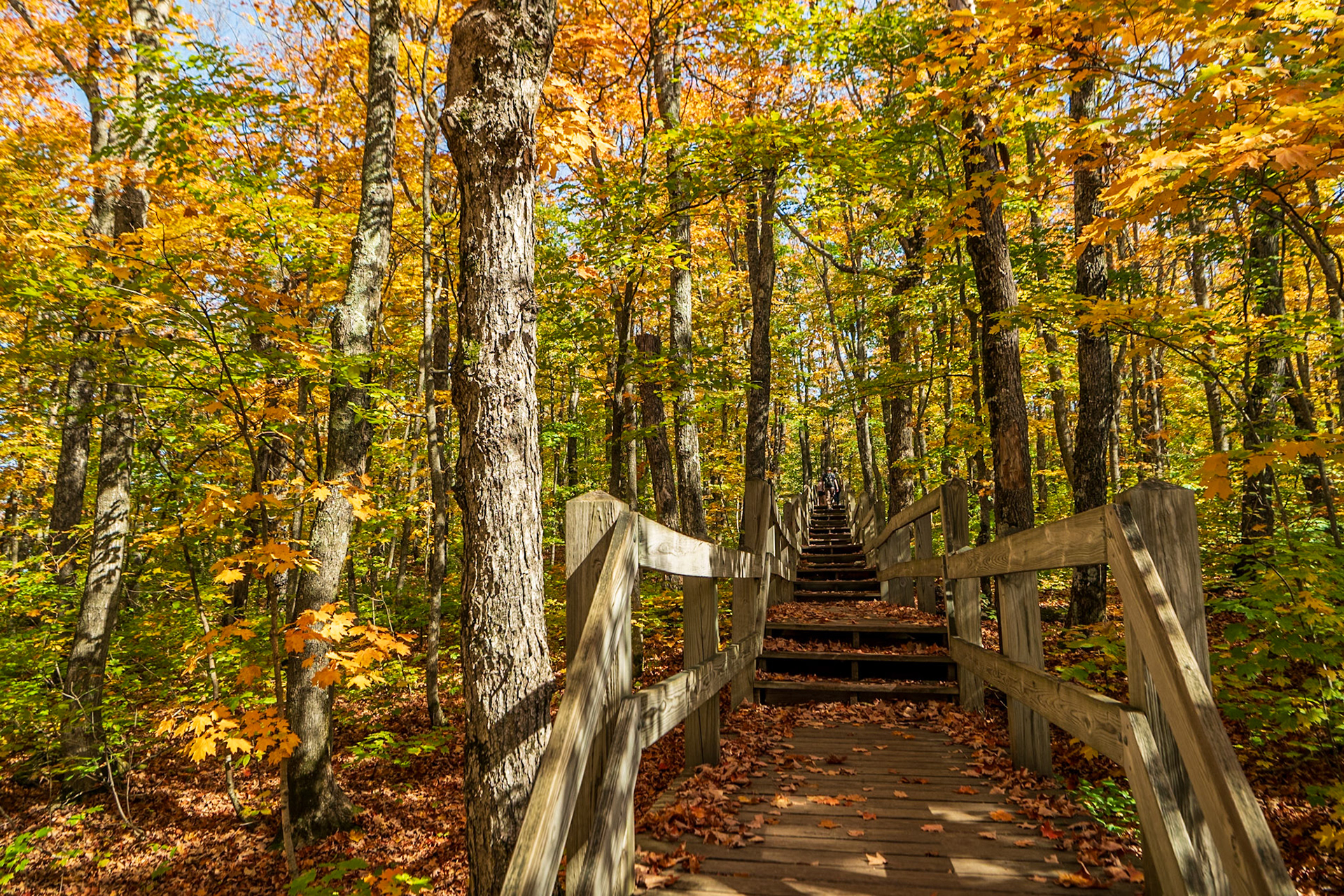 Porcupine Mountains Wilderness State Park