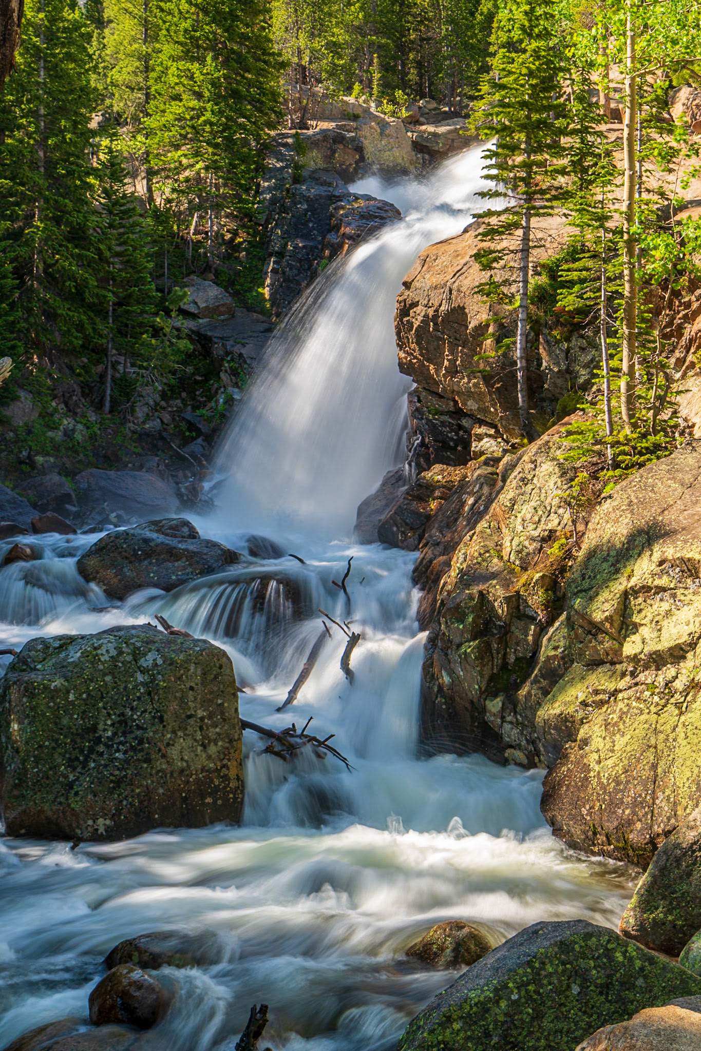 Week 25 - Alberta Falls, RMNP
