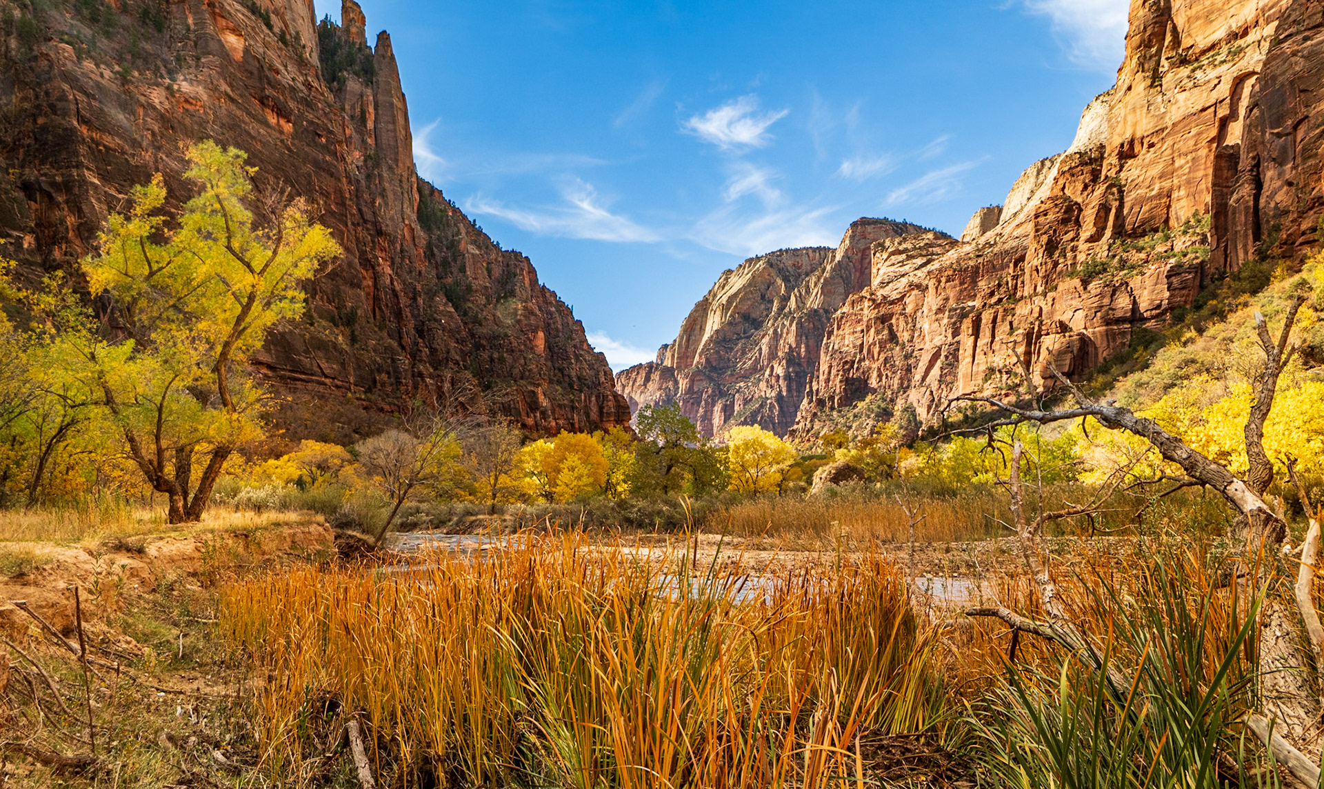 Week 46 - Zion National Park