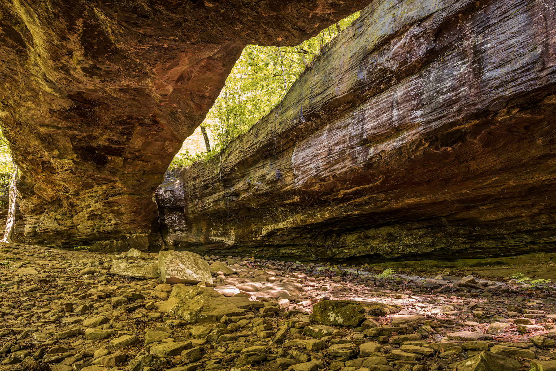 Alum Cove Natural Bridge