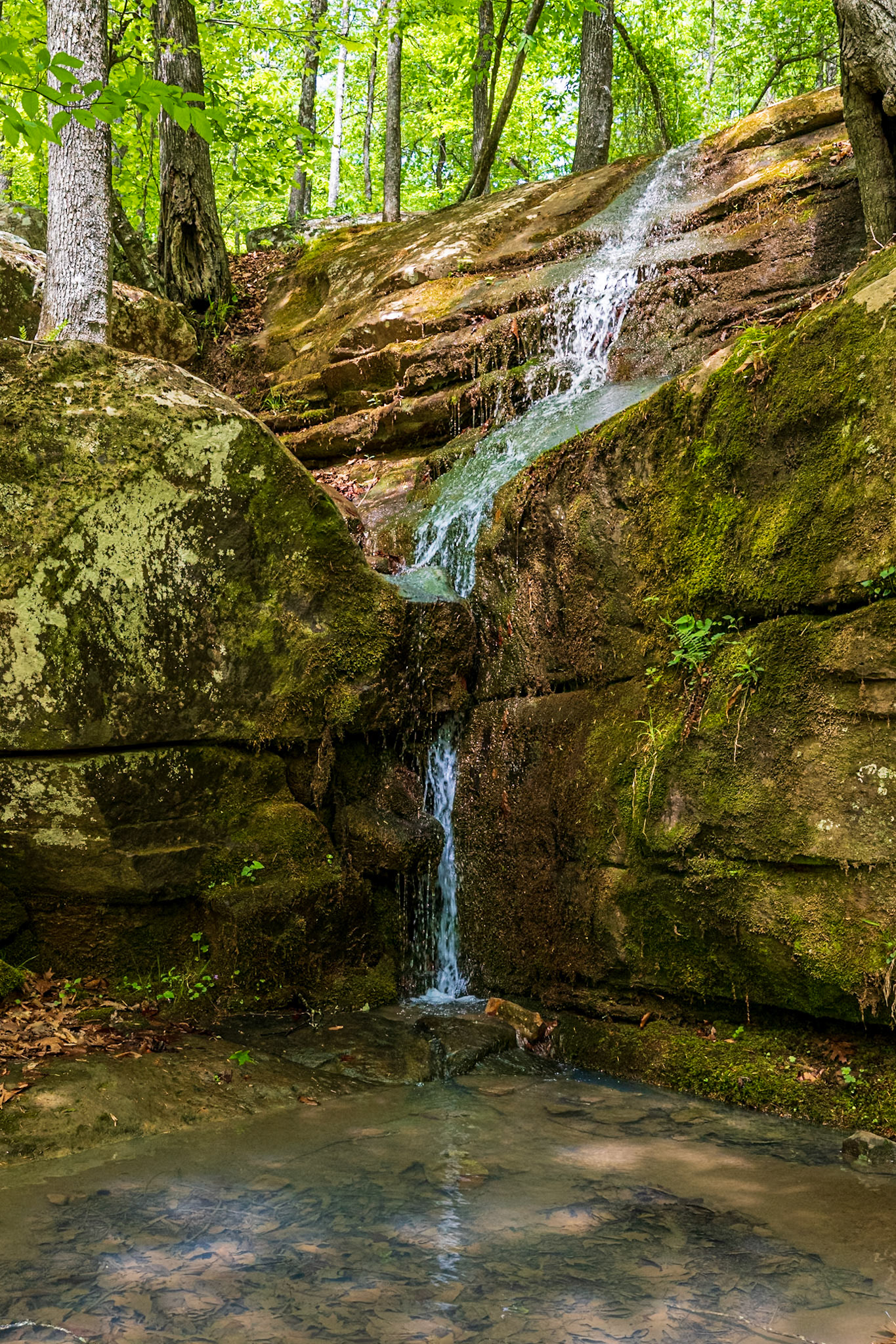 Falls