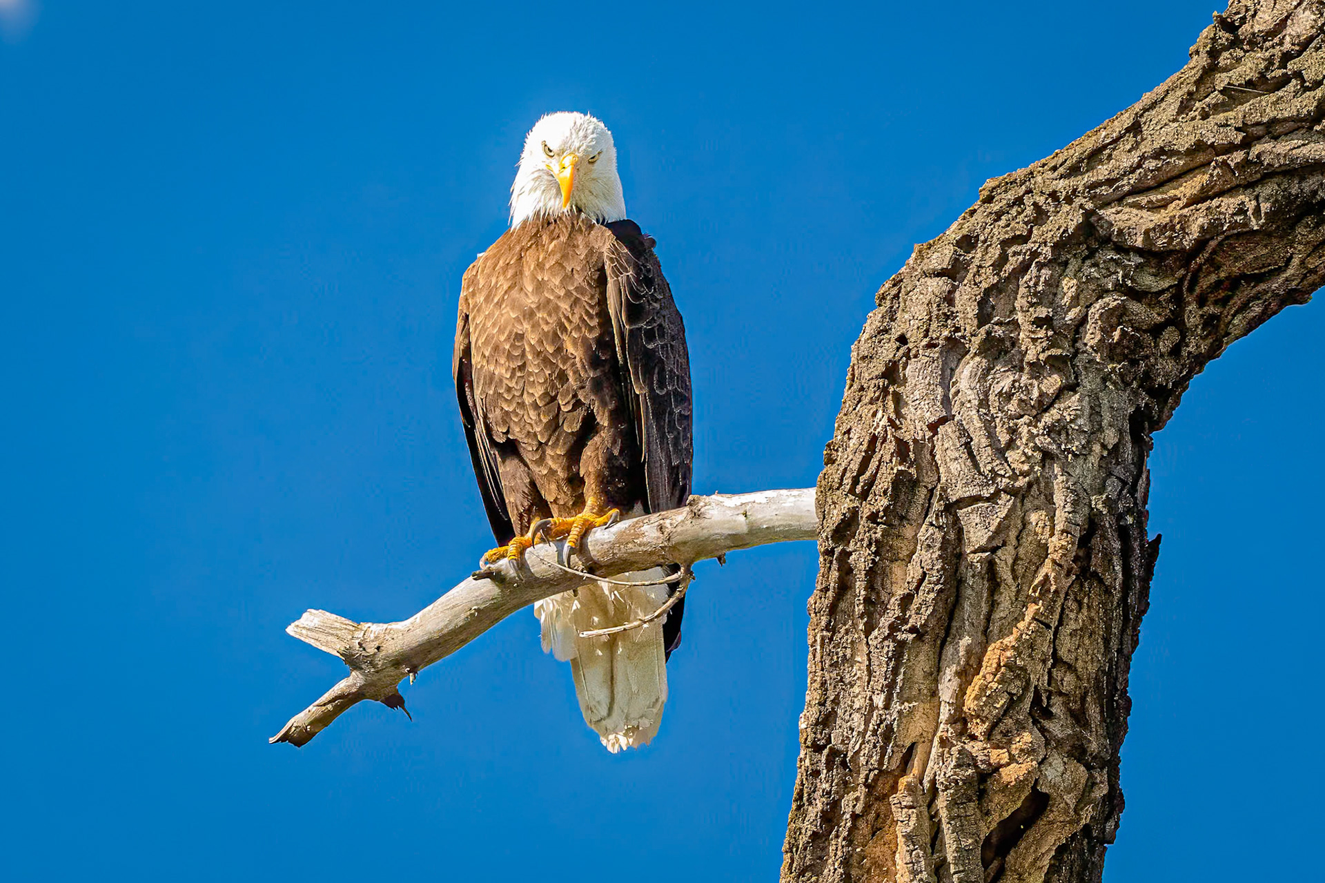 Who are you looking at?