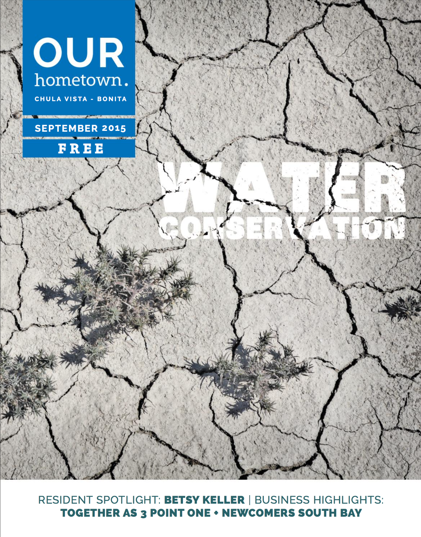 Design by Mint and Merit