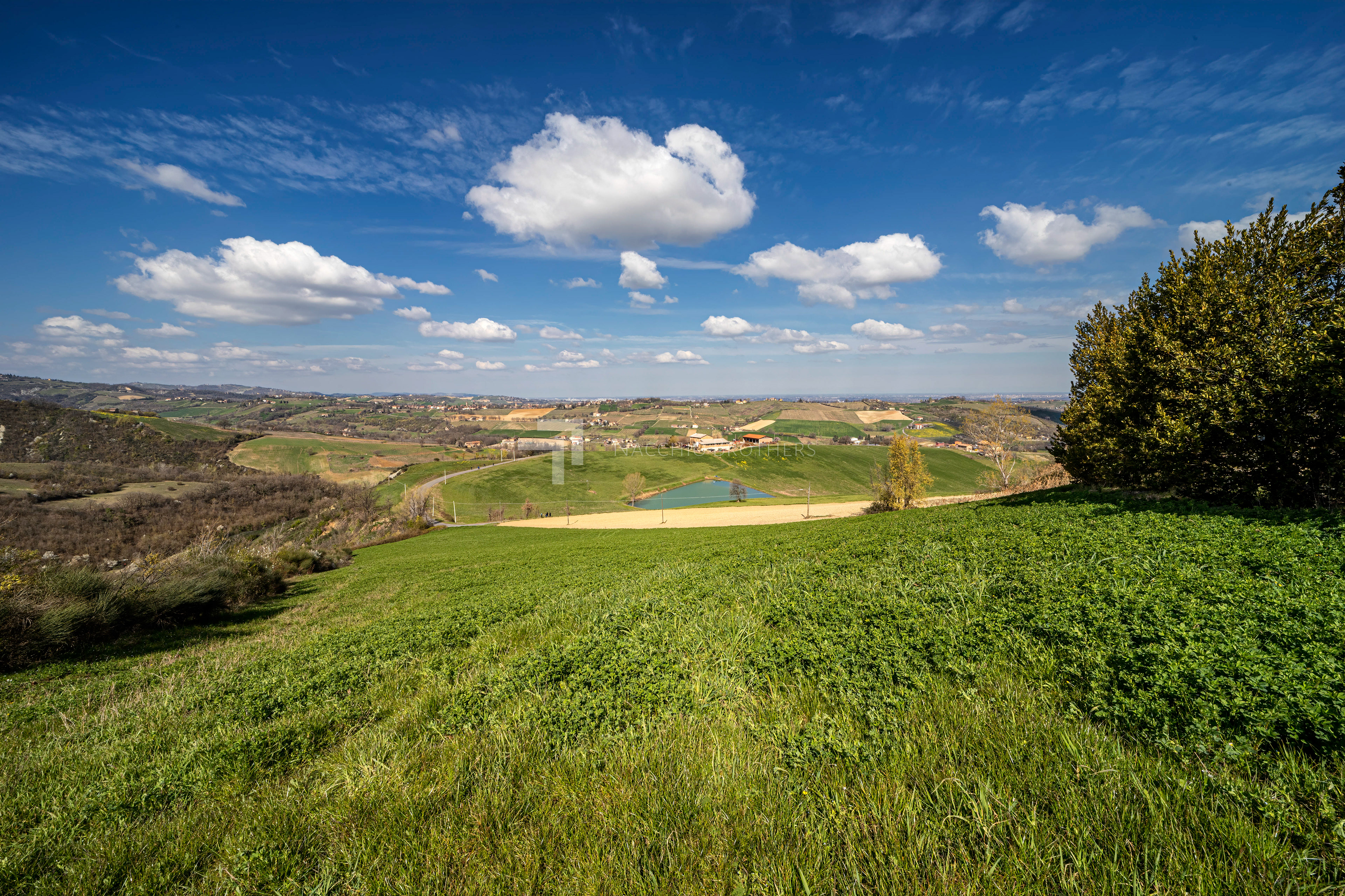 Colli modenesi - Primavera