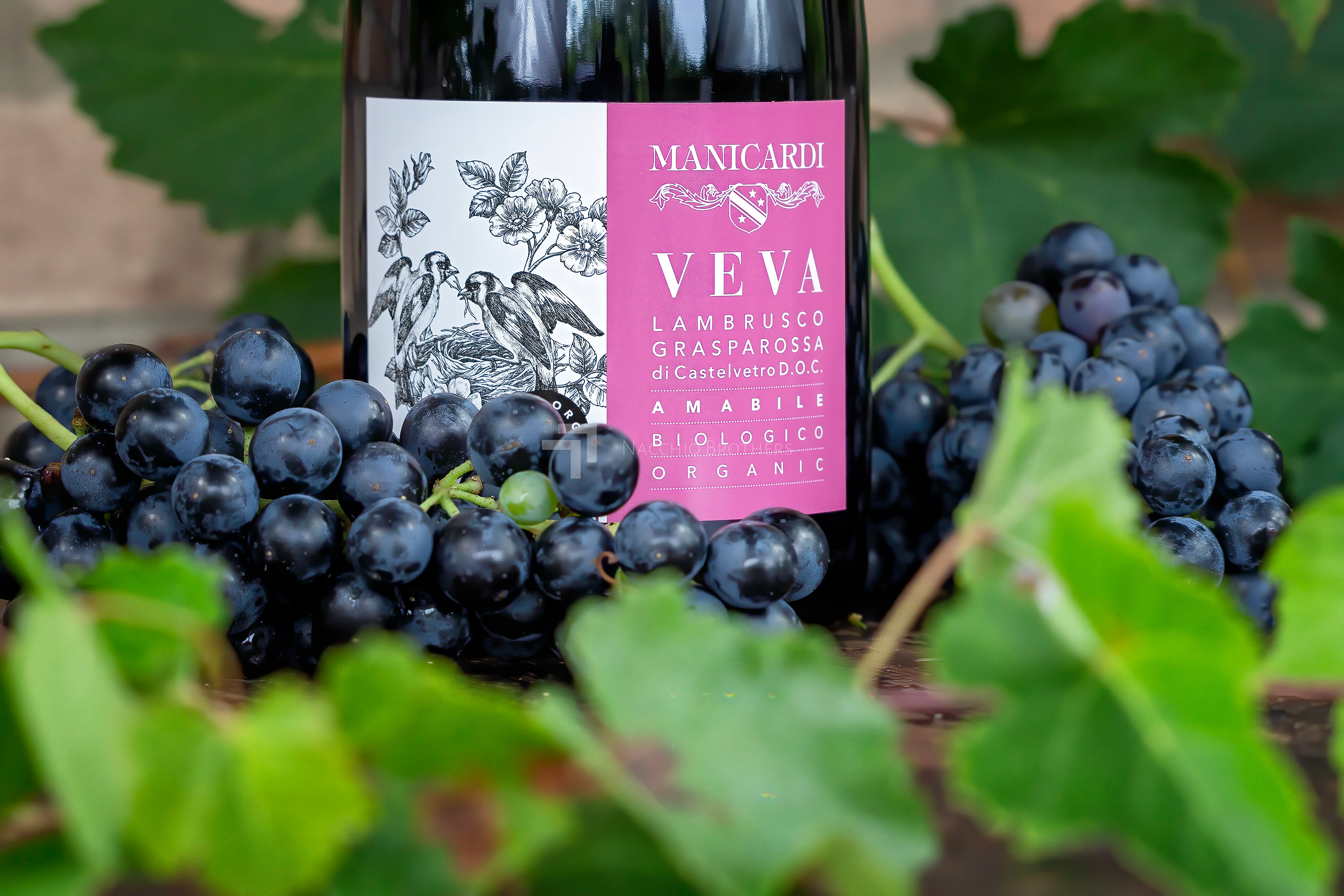 Foto prodotto - Manicardi Vini