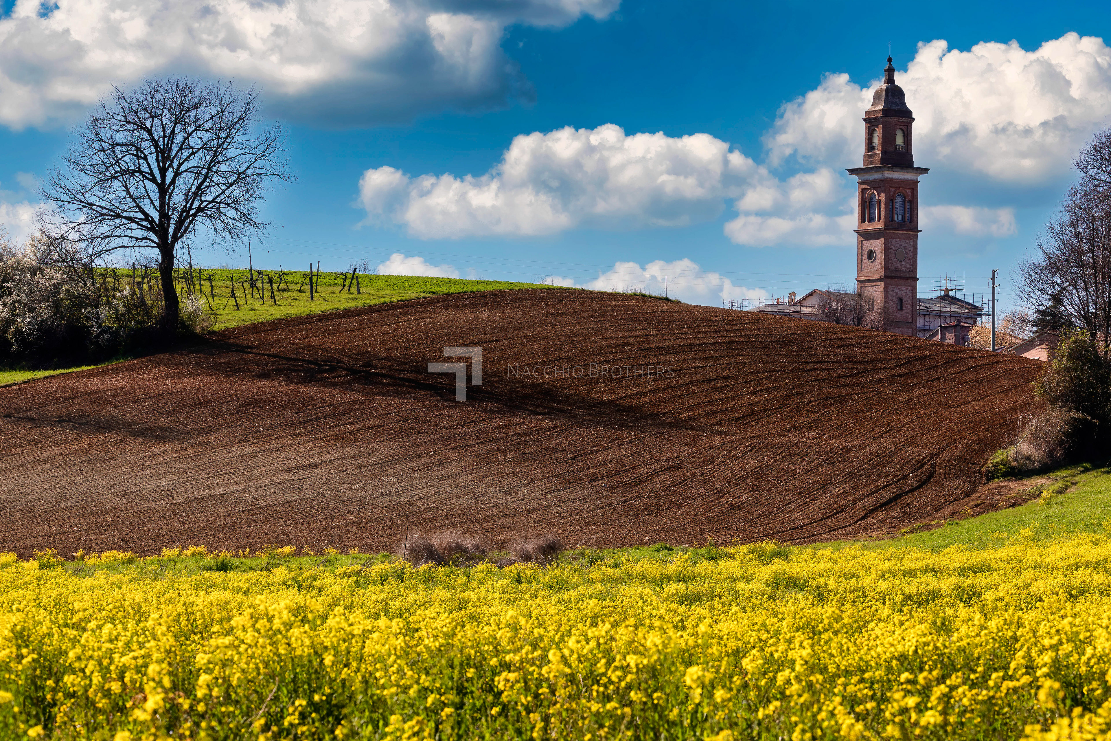 Primavera tra i colli