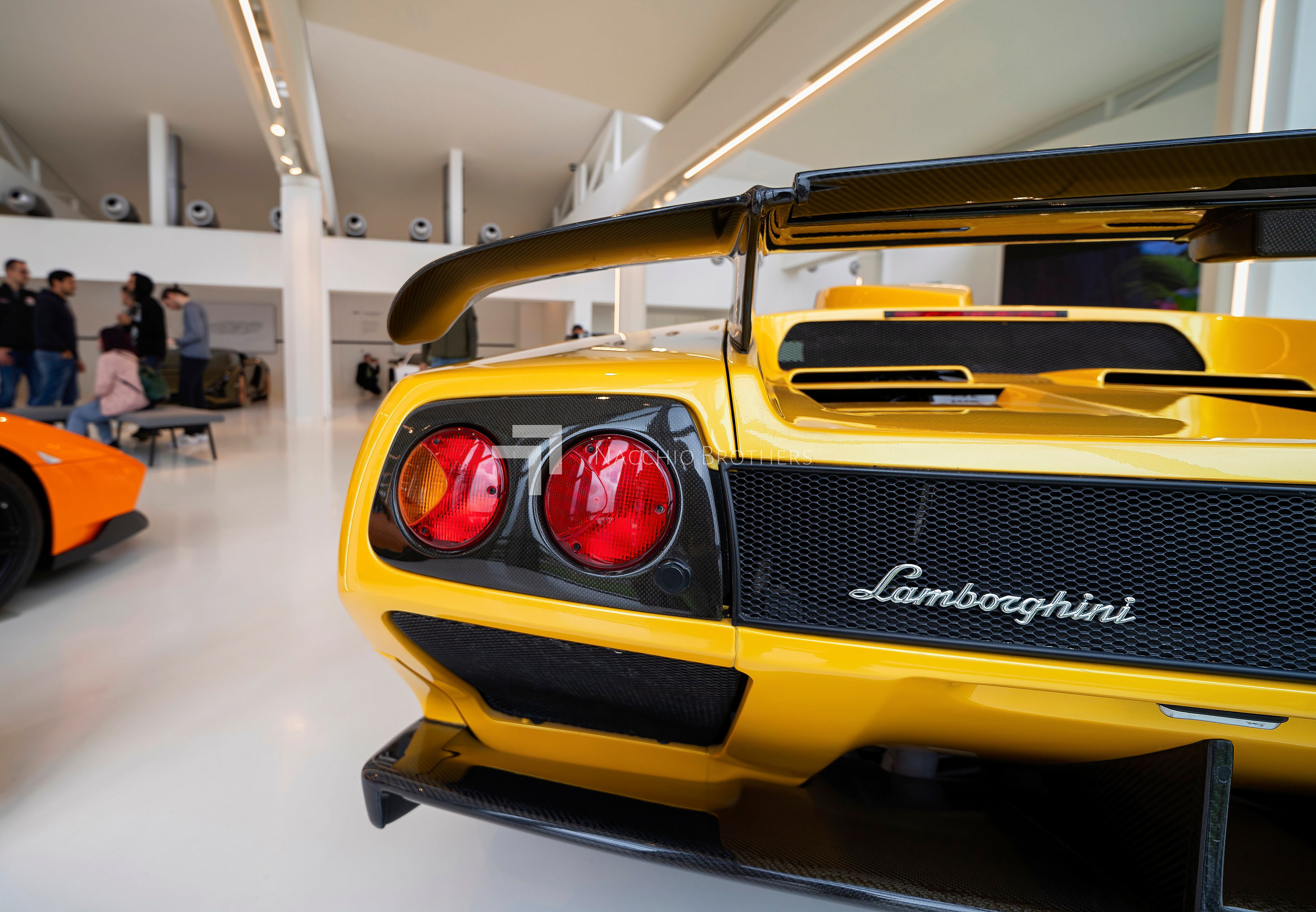 Visita guidata Museo Lamborghini