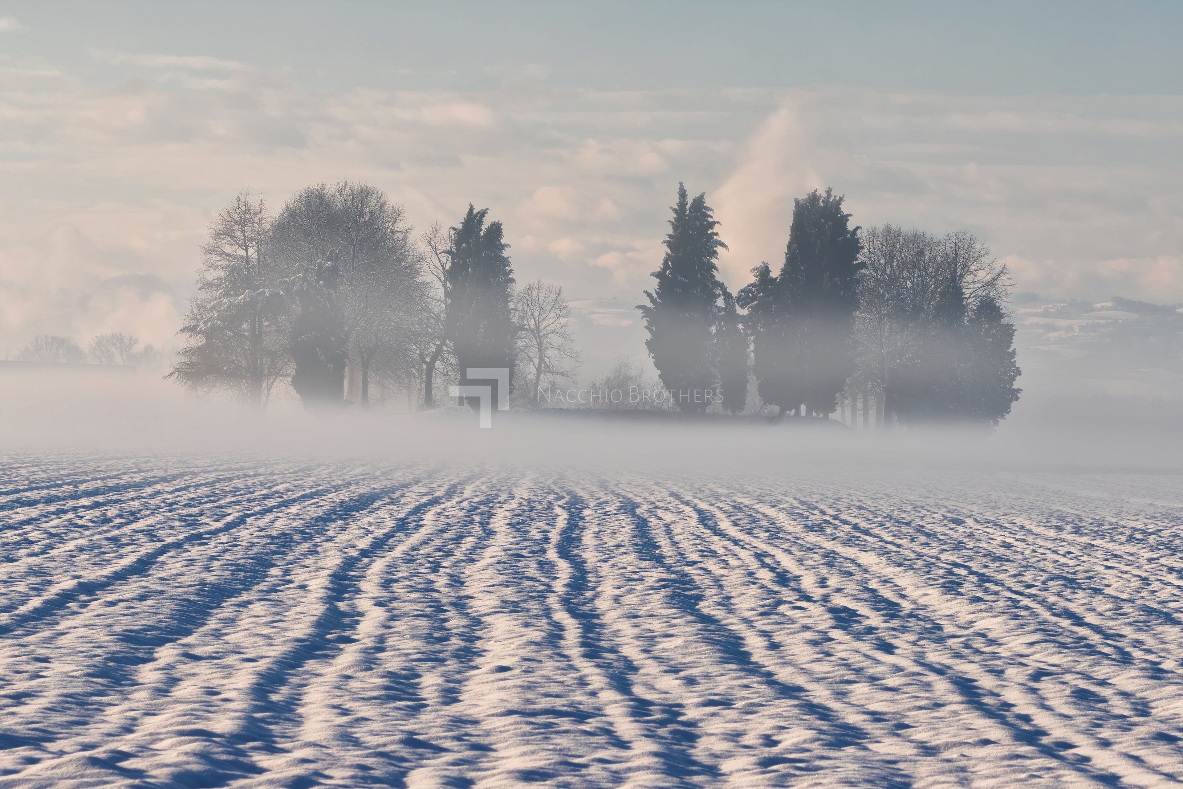 Veduta campagna modenese - Inverno