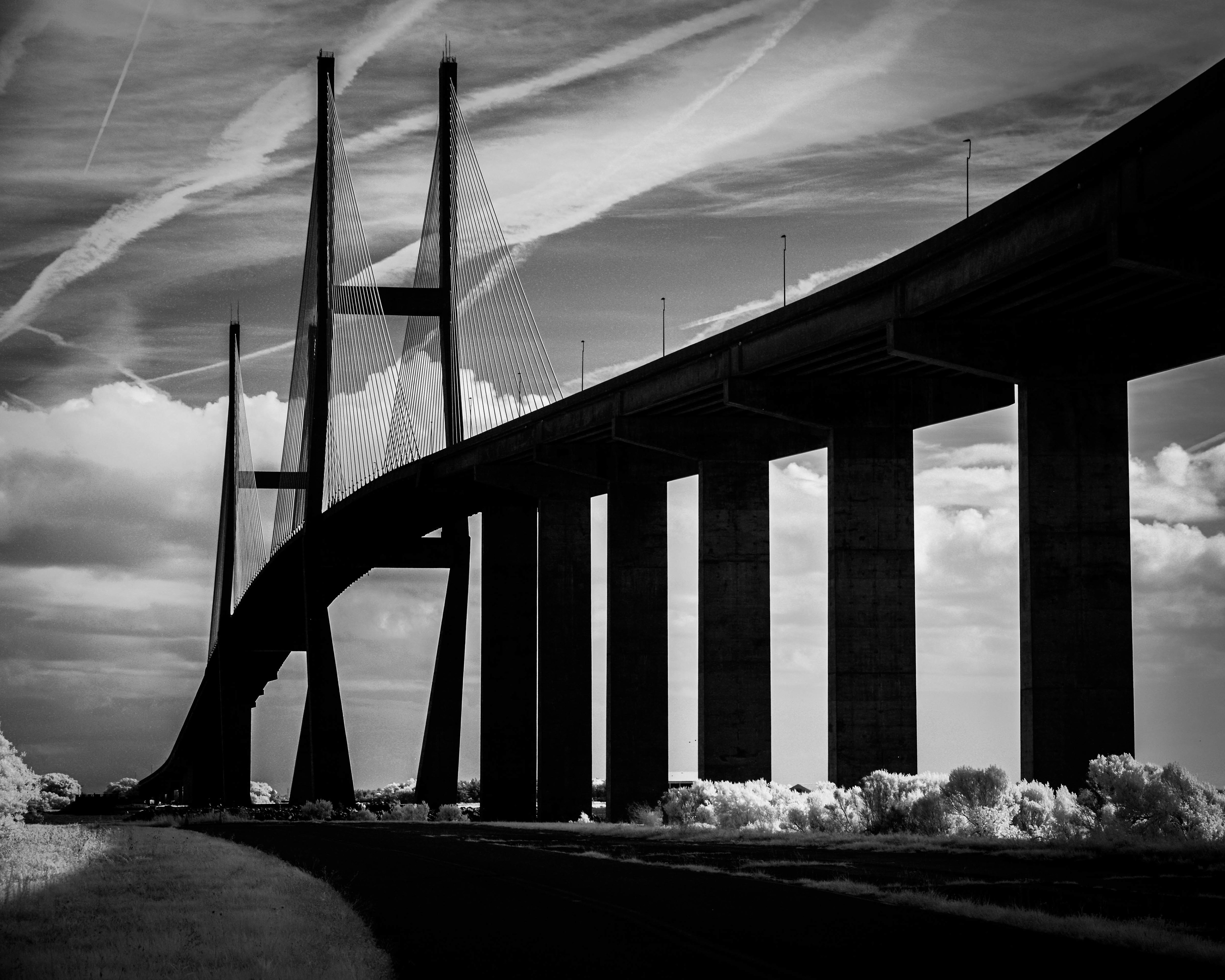 BW-8. Sidney Lanier Bridge
