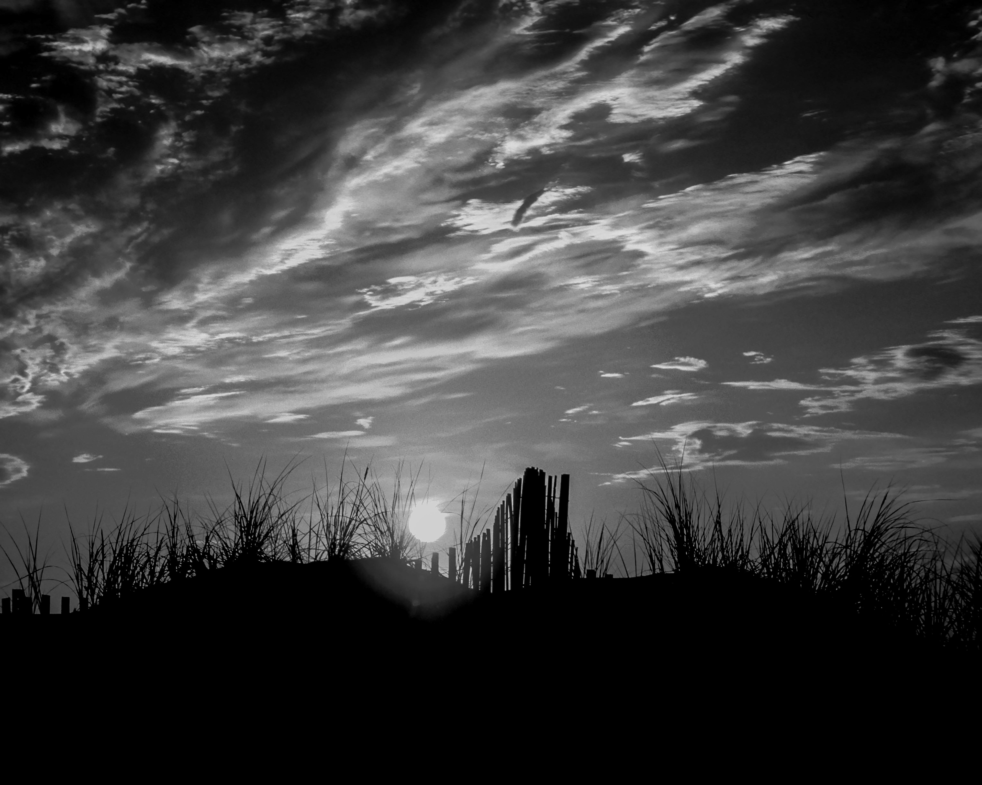 BW-4. Delaware Beach Morning