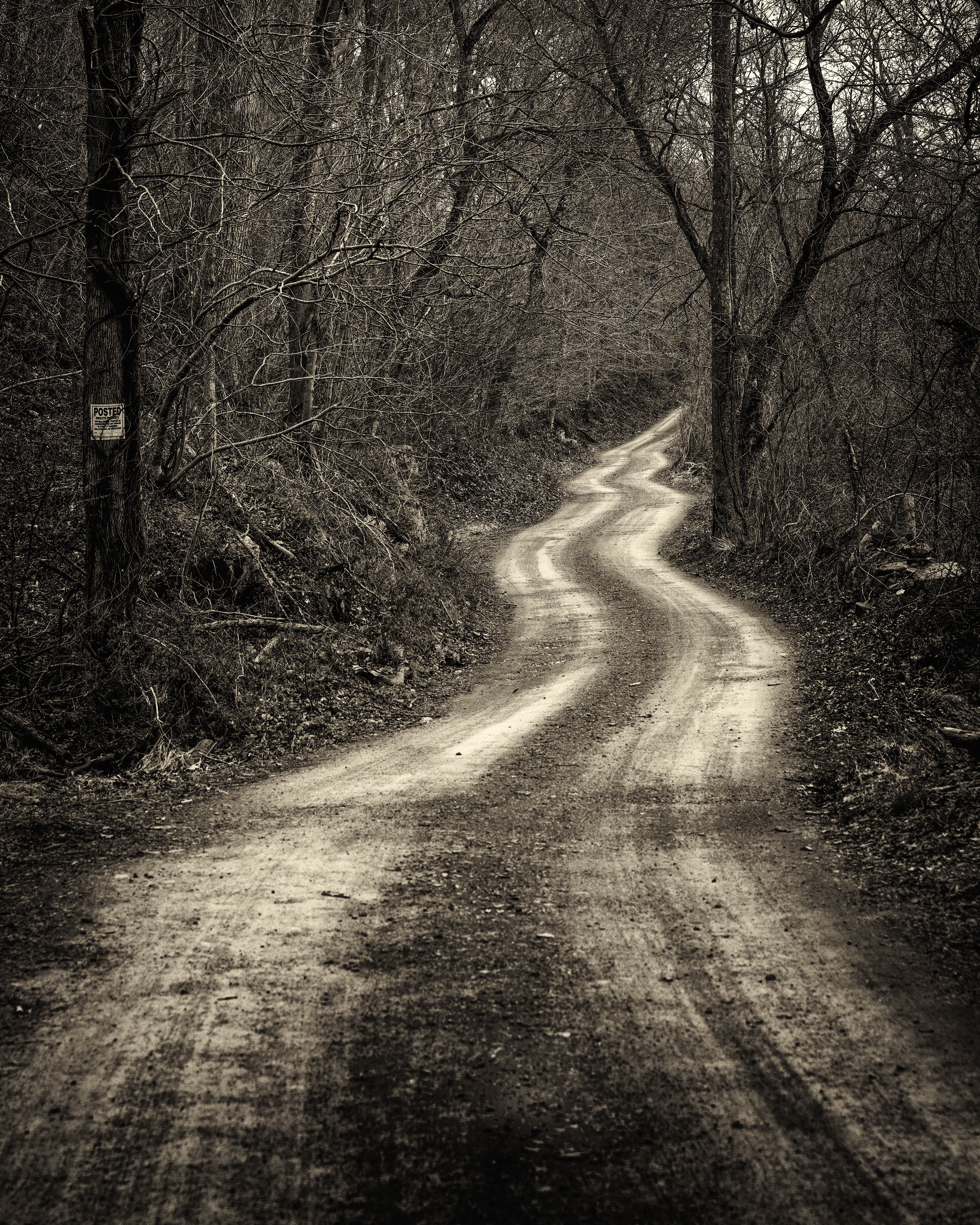 BW-7. Winding Road