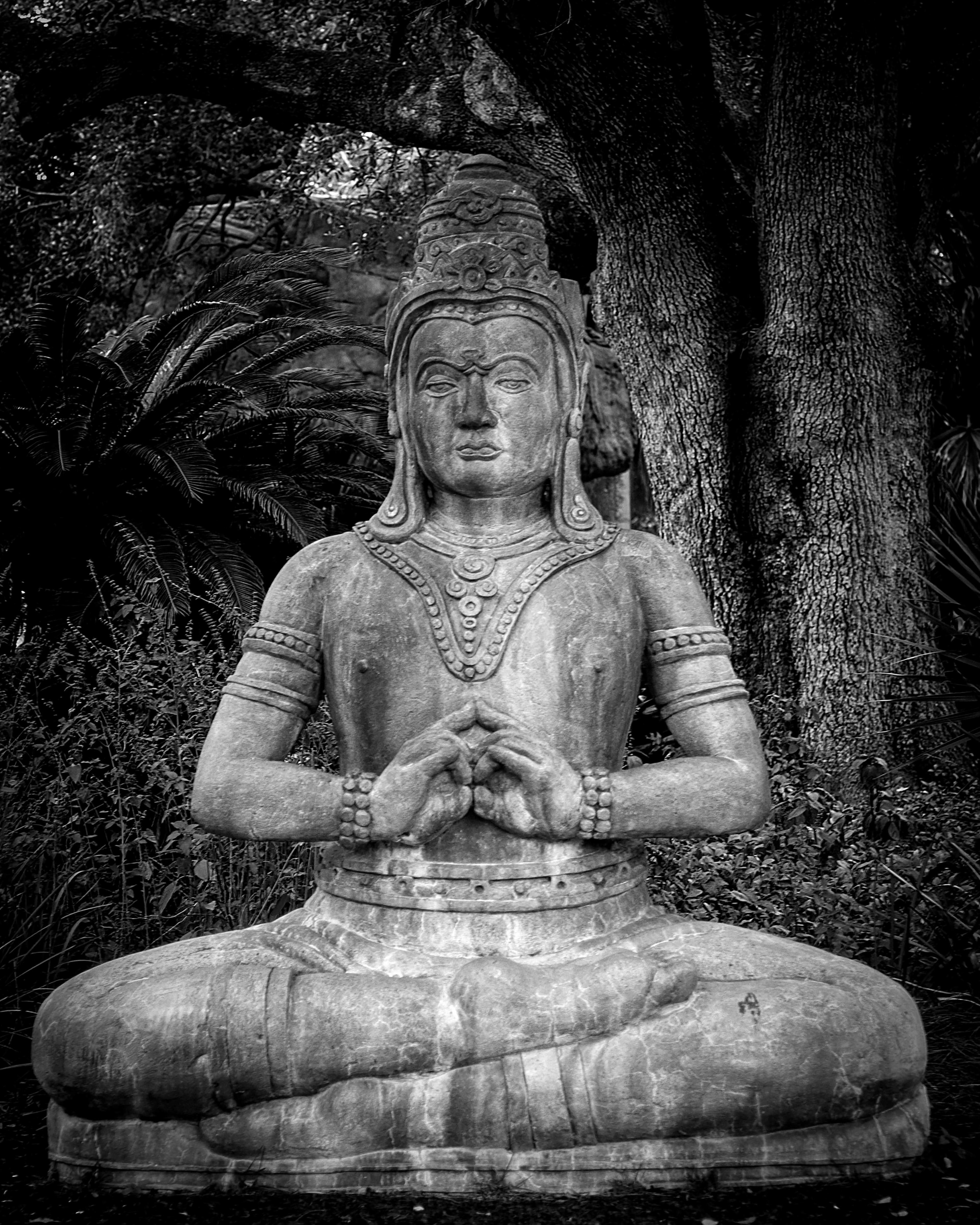 BW-5. Buddha 