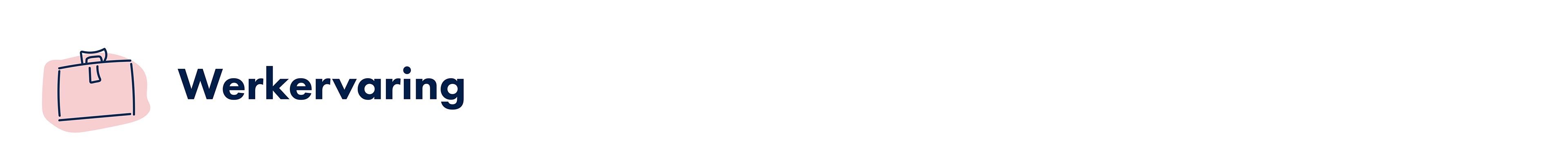 Werkervaring
