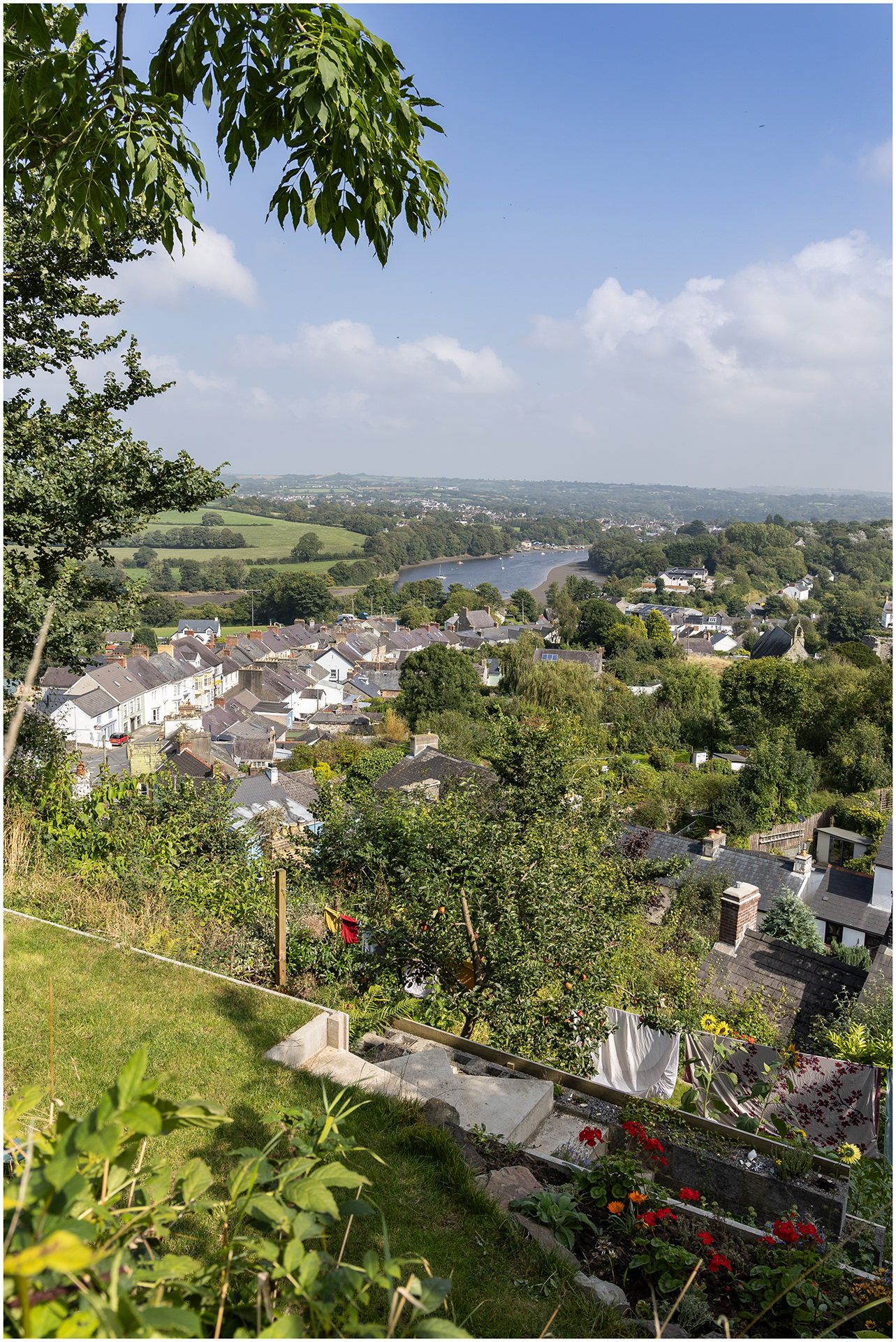 "Gone to the Dogs" by Viv Evans