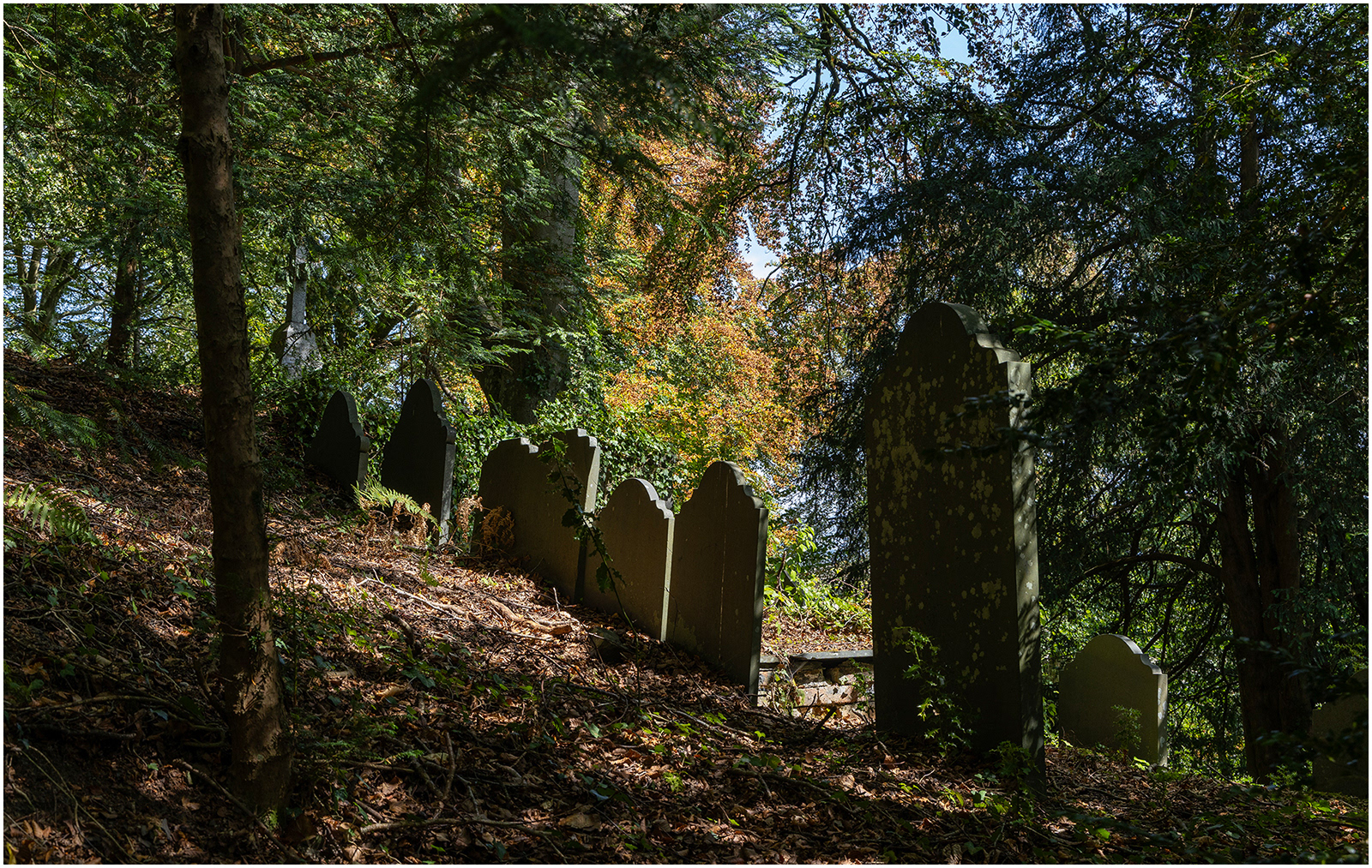 "Shaded resting place 1" by Viv Evans
