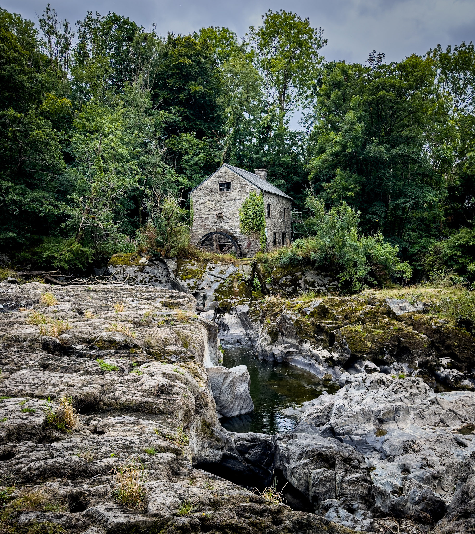 "Cenarth Falls" by Gareth Parry