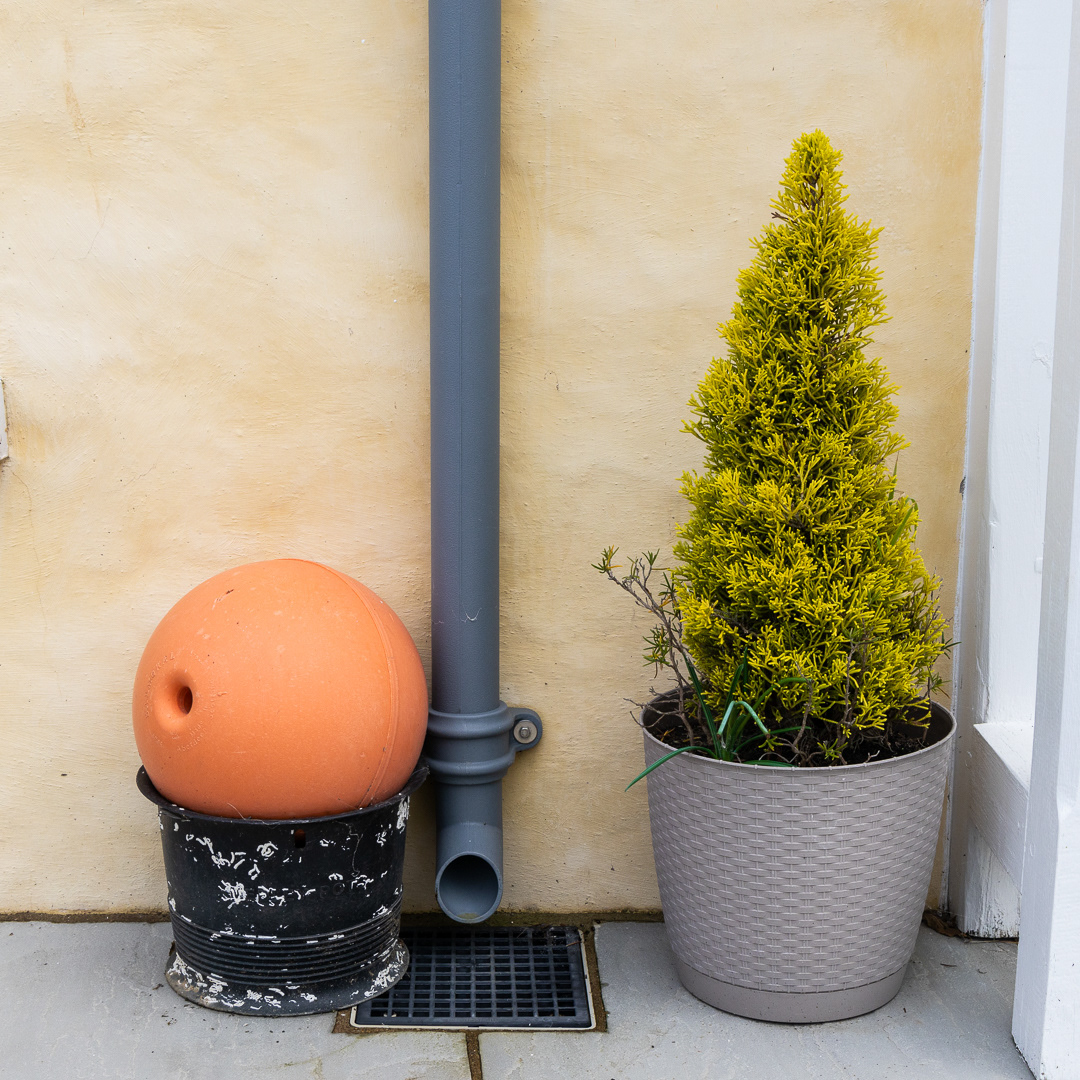 "Buoys and bonsai" by Morlais Davies