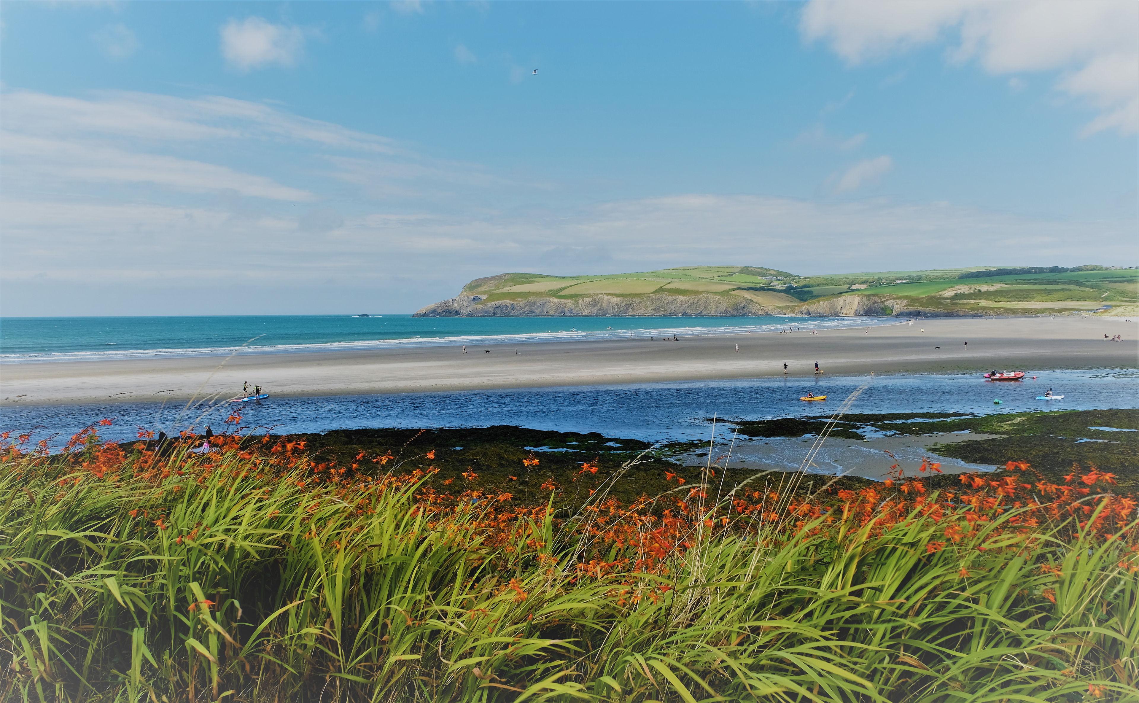 "Montbretia View 1" by David Hough